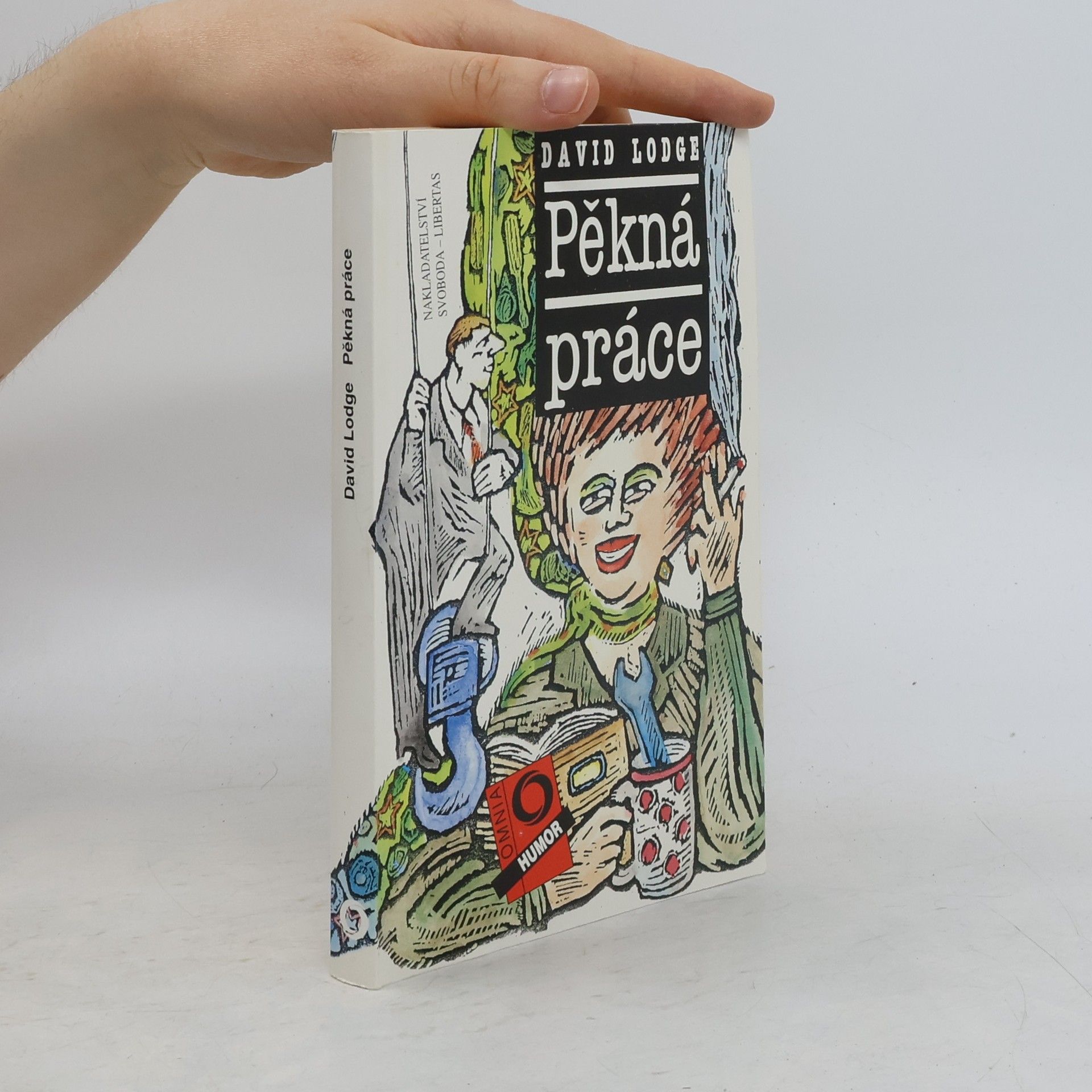 David Lodge Pěkná práce