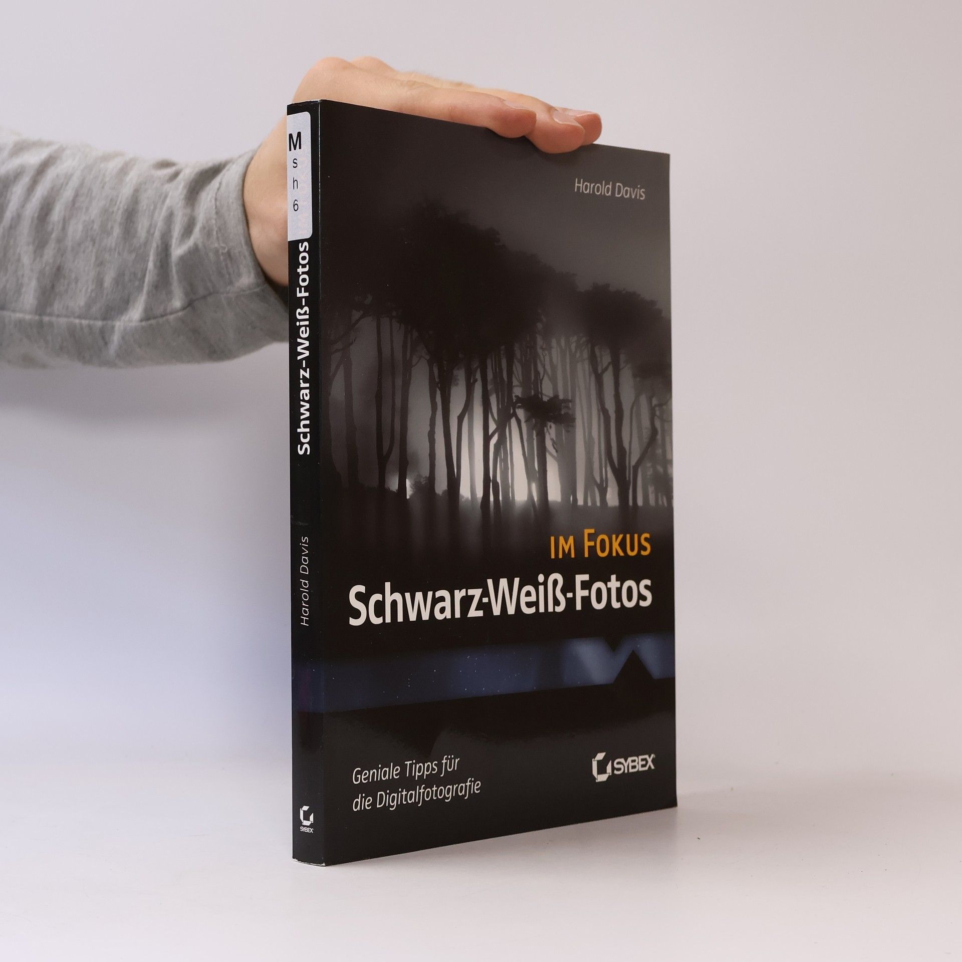 Elke Jauch Schwarz-Weiß-Fotos im Fokus