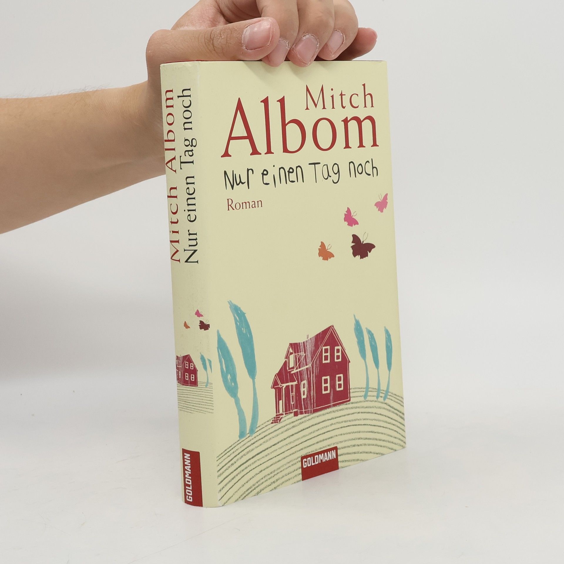 Mitch Albom Nur einen Tag noch