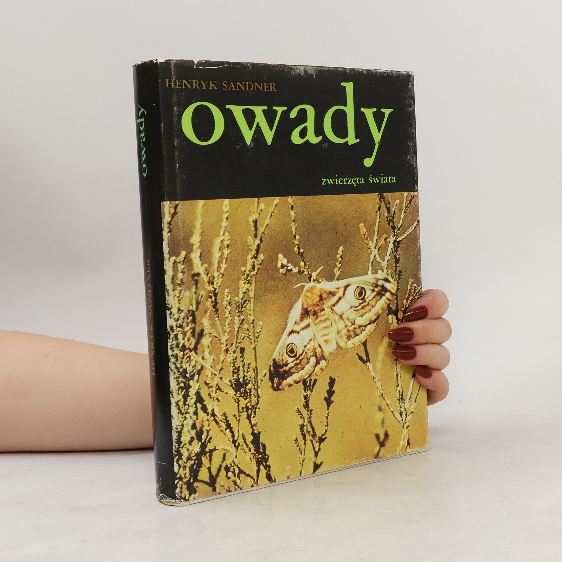 Henryk Sandner Oswady