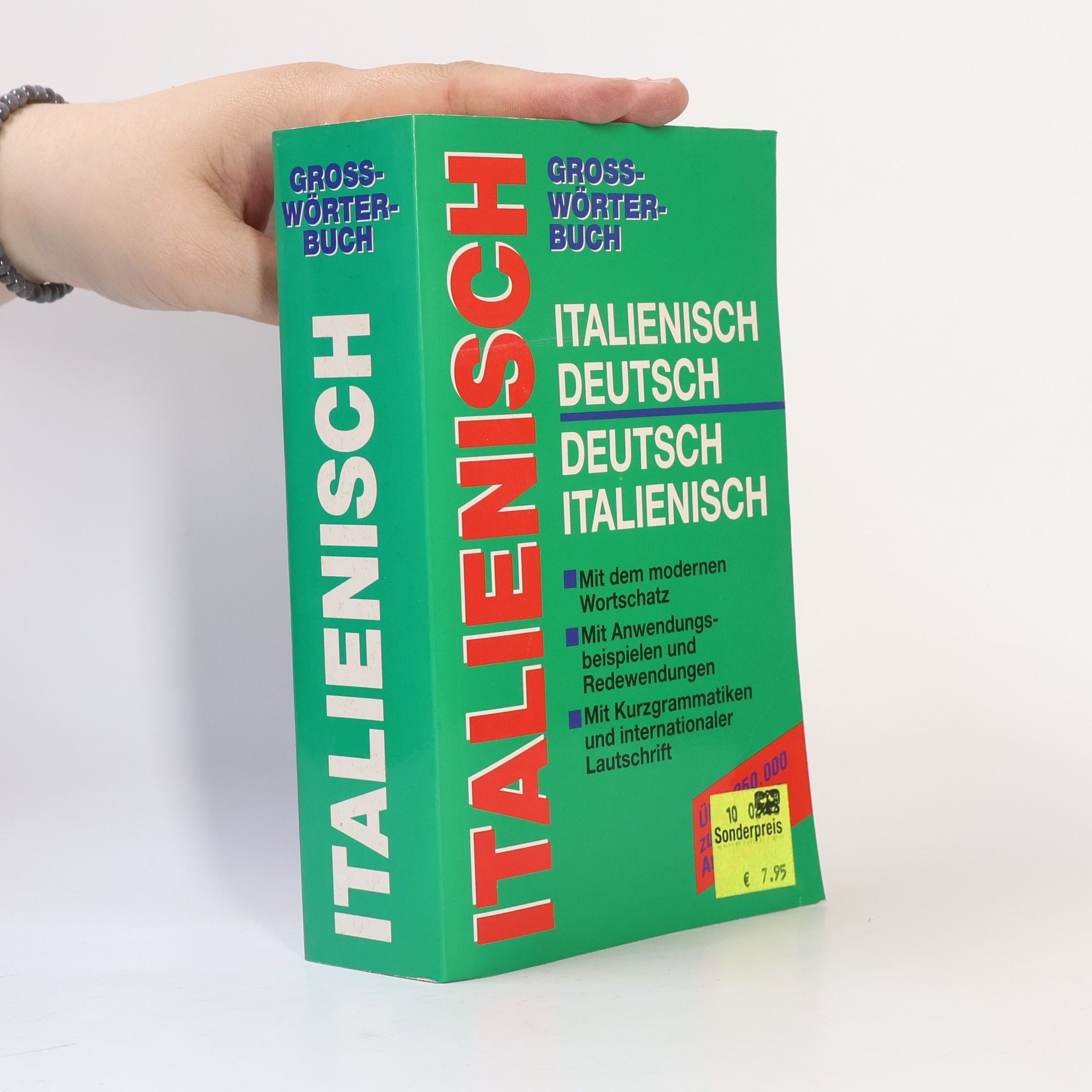 Kolektív autorov Grosswörterbuch Italienisch