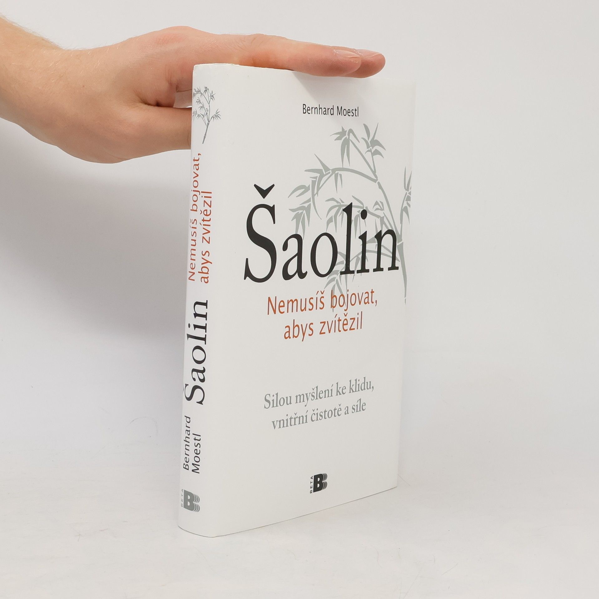 Bernhard Moestl Šaolin: Nemusíš bojovat, abys zvítězil