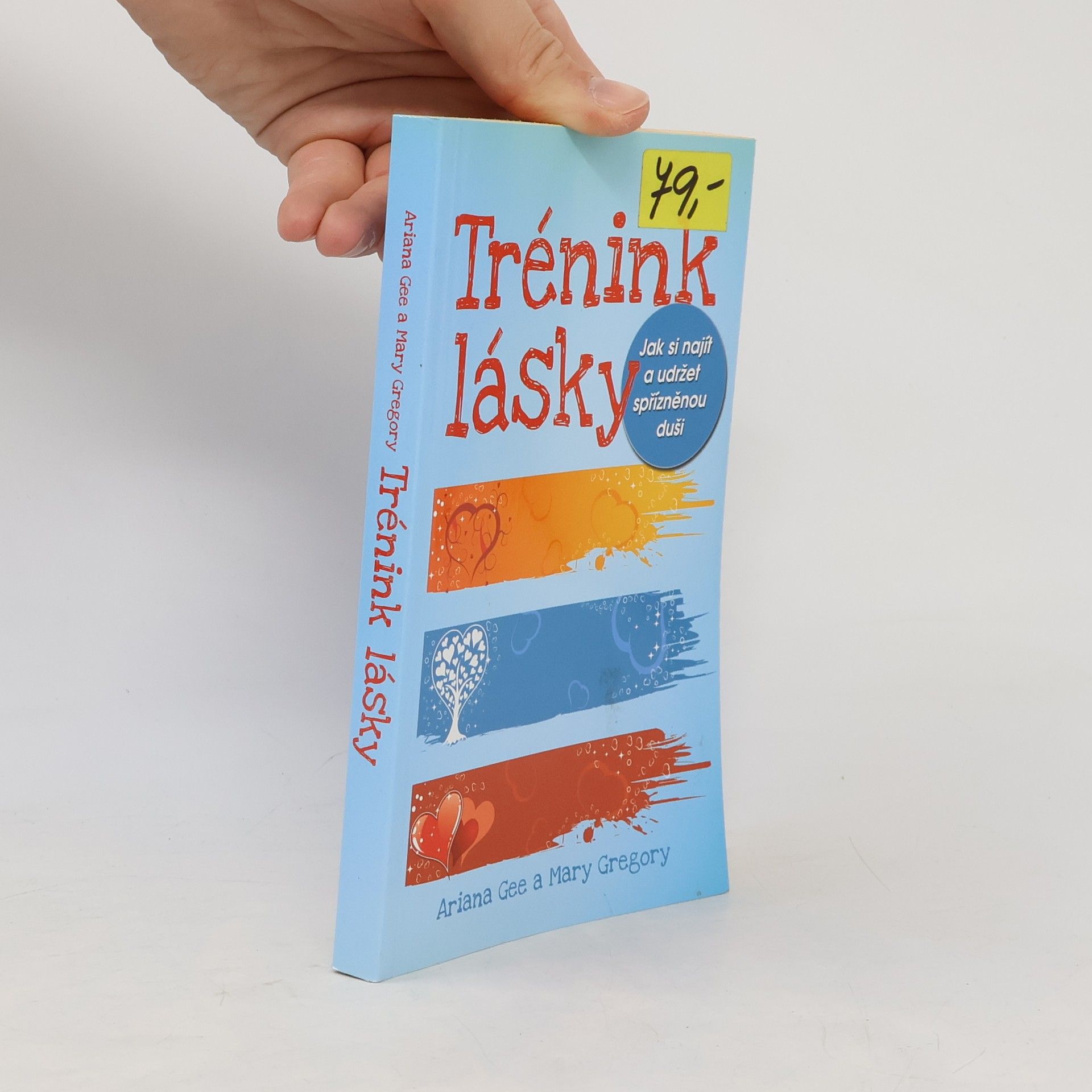 Mary Gregory Trénink lásky: Jak si najít a udržet spřízněnou duši