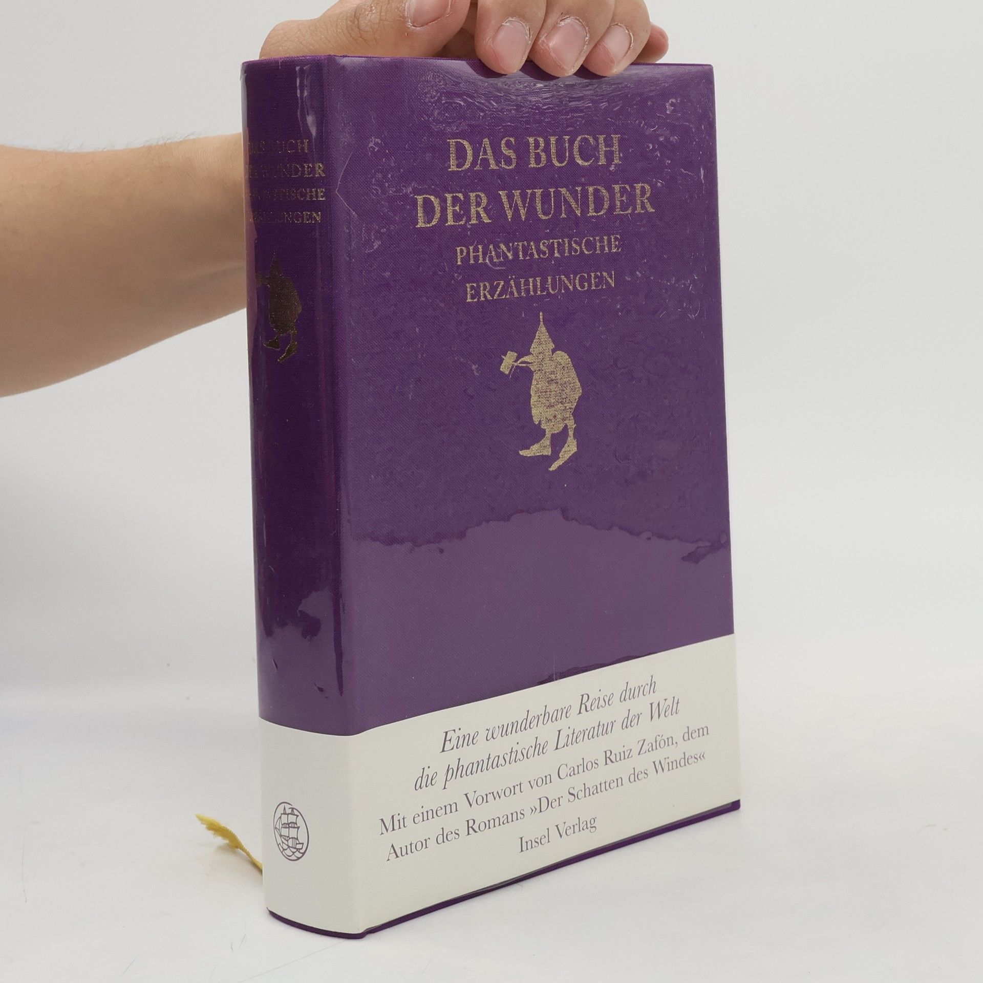 Miriam Kronstädter Das Buch der Wunder
