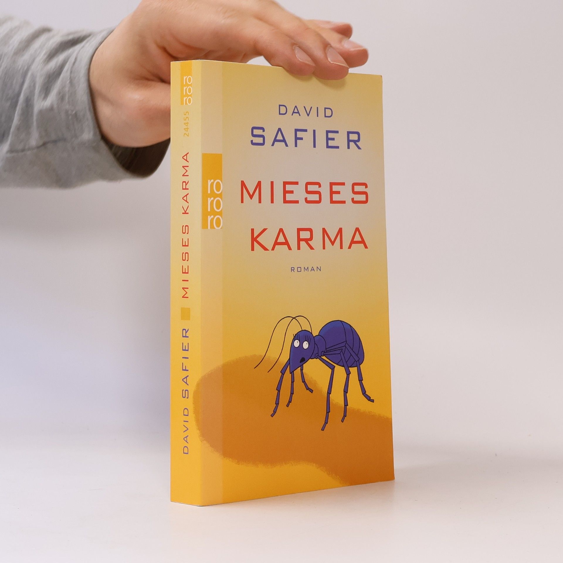 David Safier Mieses Karma