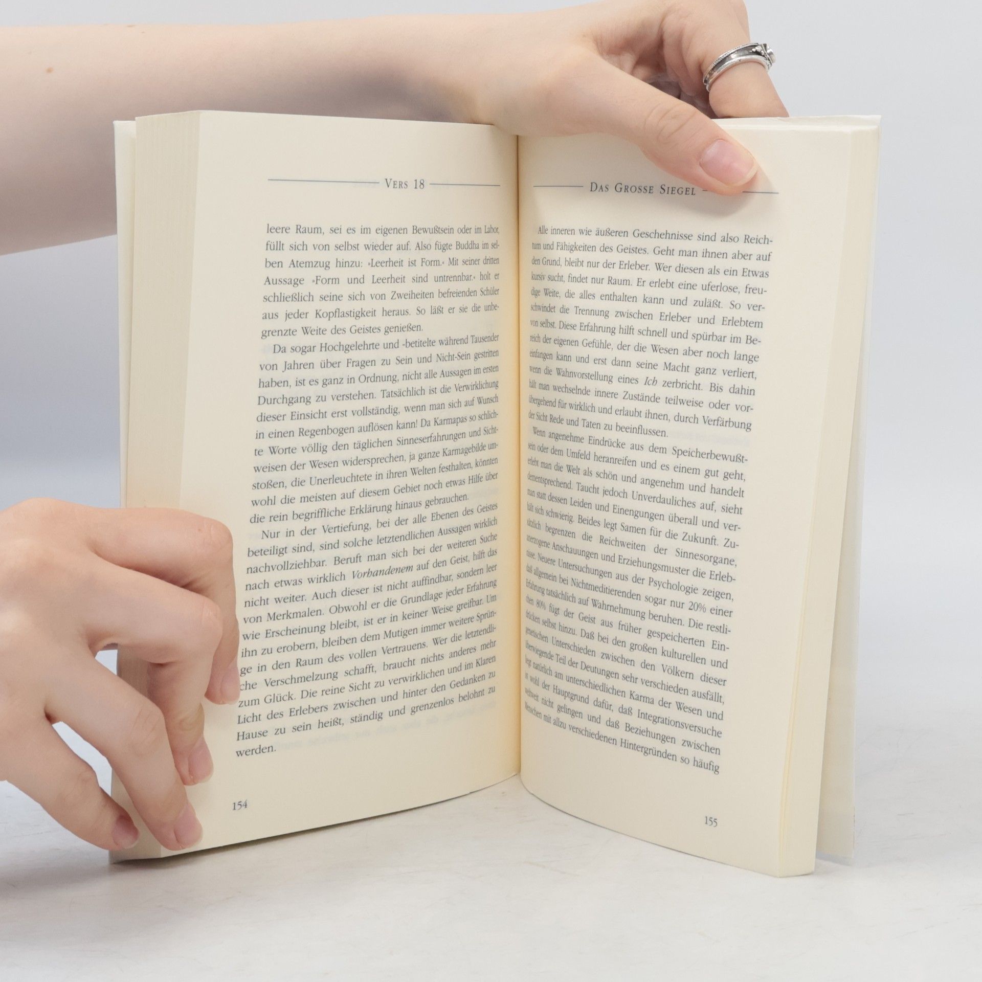 Autorenkollektiv Das GroÃ?e Siegel. Die Mahamudra-Sichtweise des Diamantweg-Buddhismus.