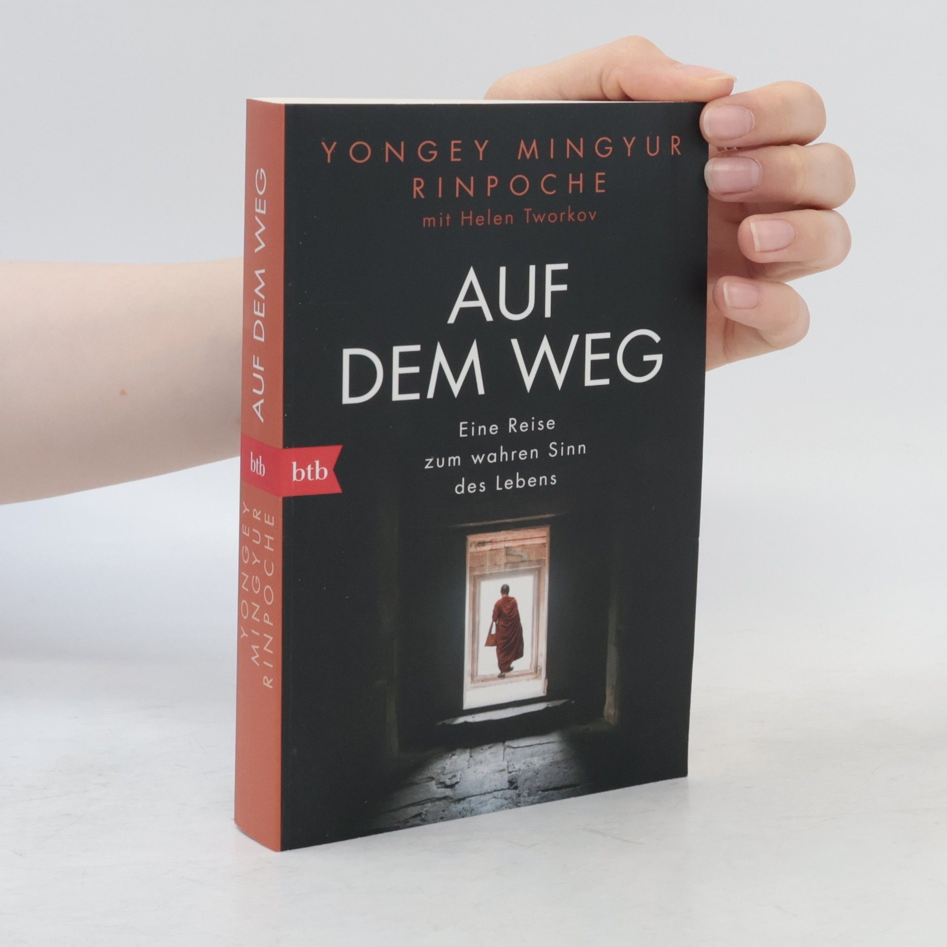 Yongey Mingyur Rinpoche Auf dem Weg