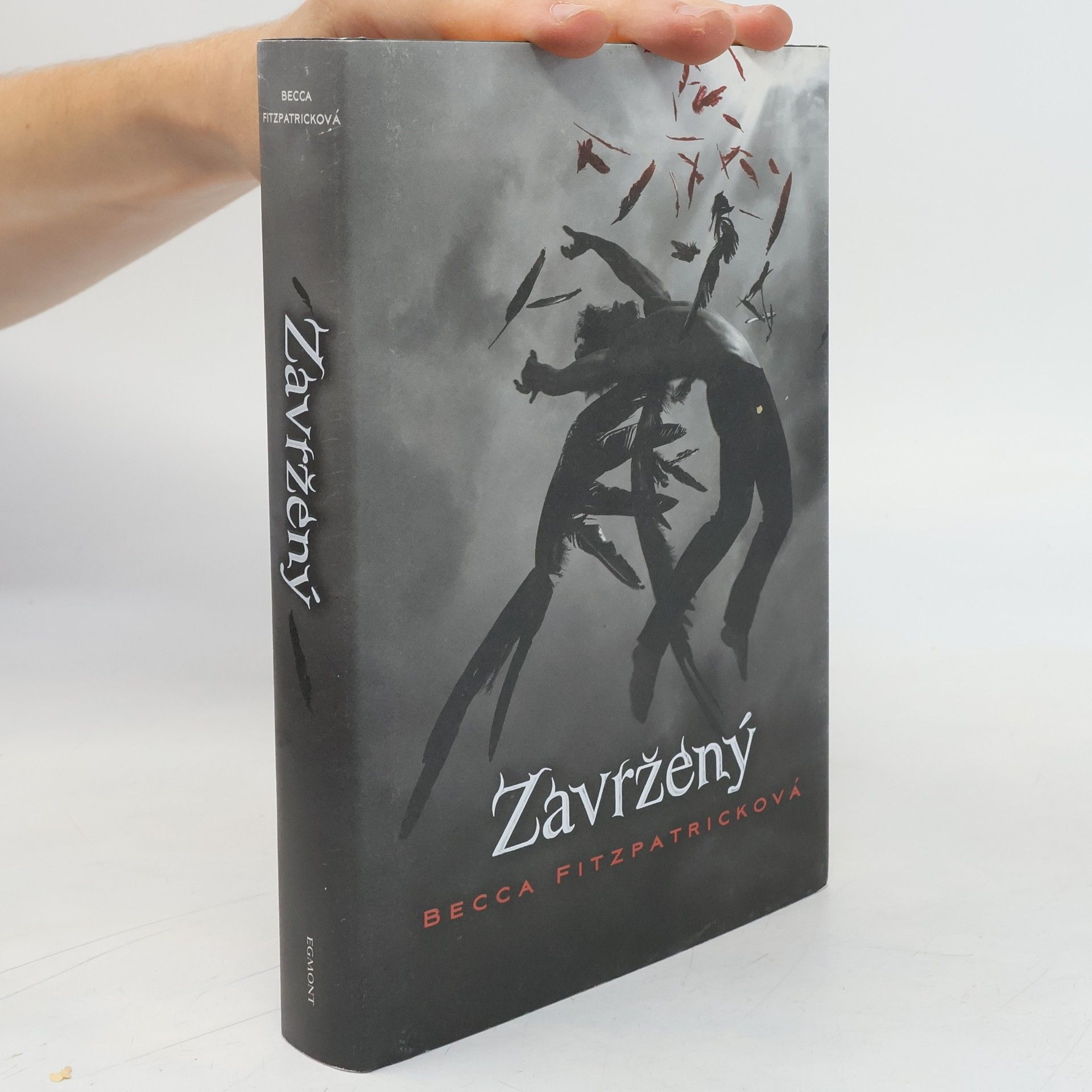 Becca Fitzpatrick Zavržený
