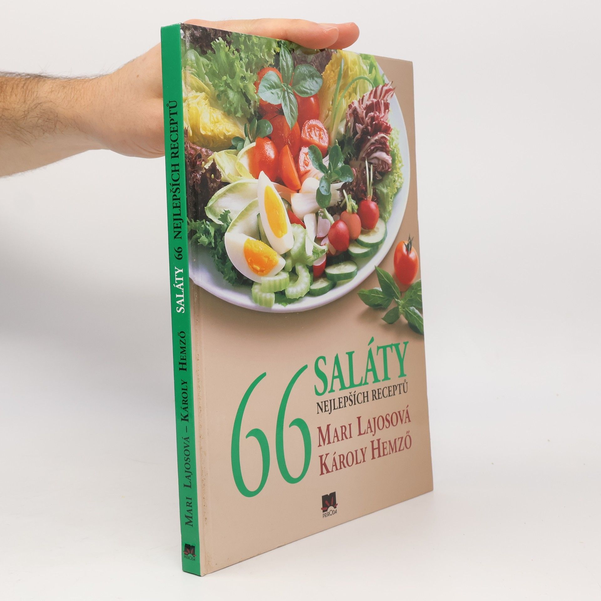 Mari Lajos Saláty - 66 nejlepších receptů
