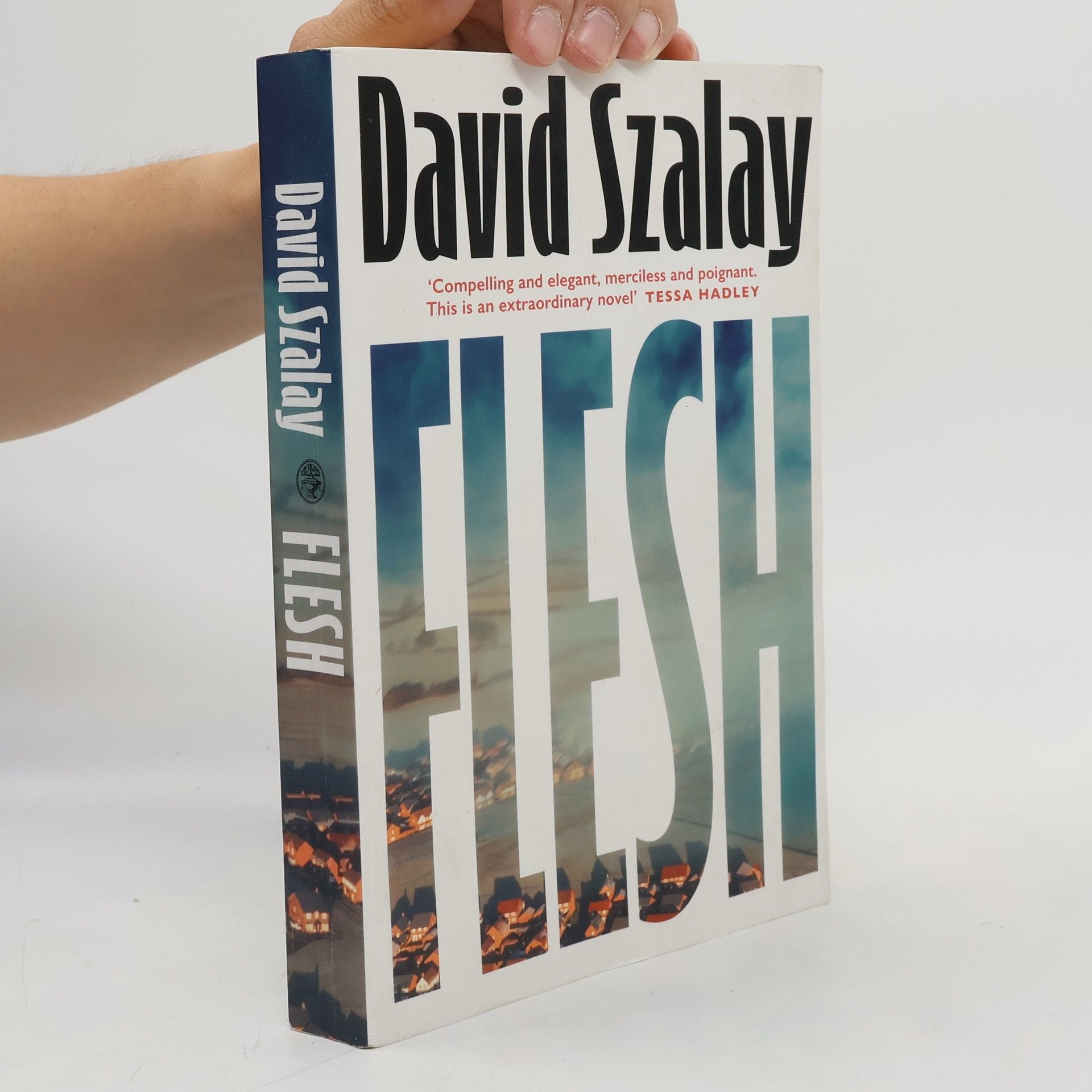 David Szalay Flesh