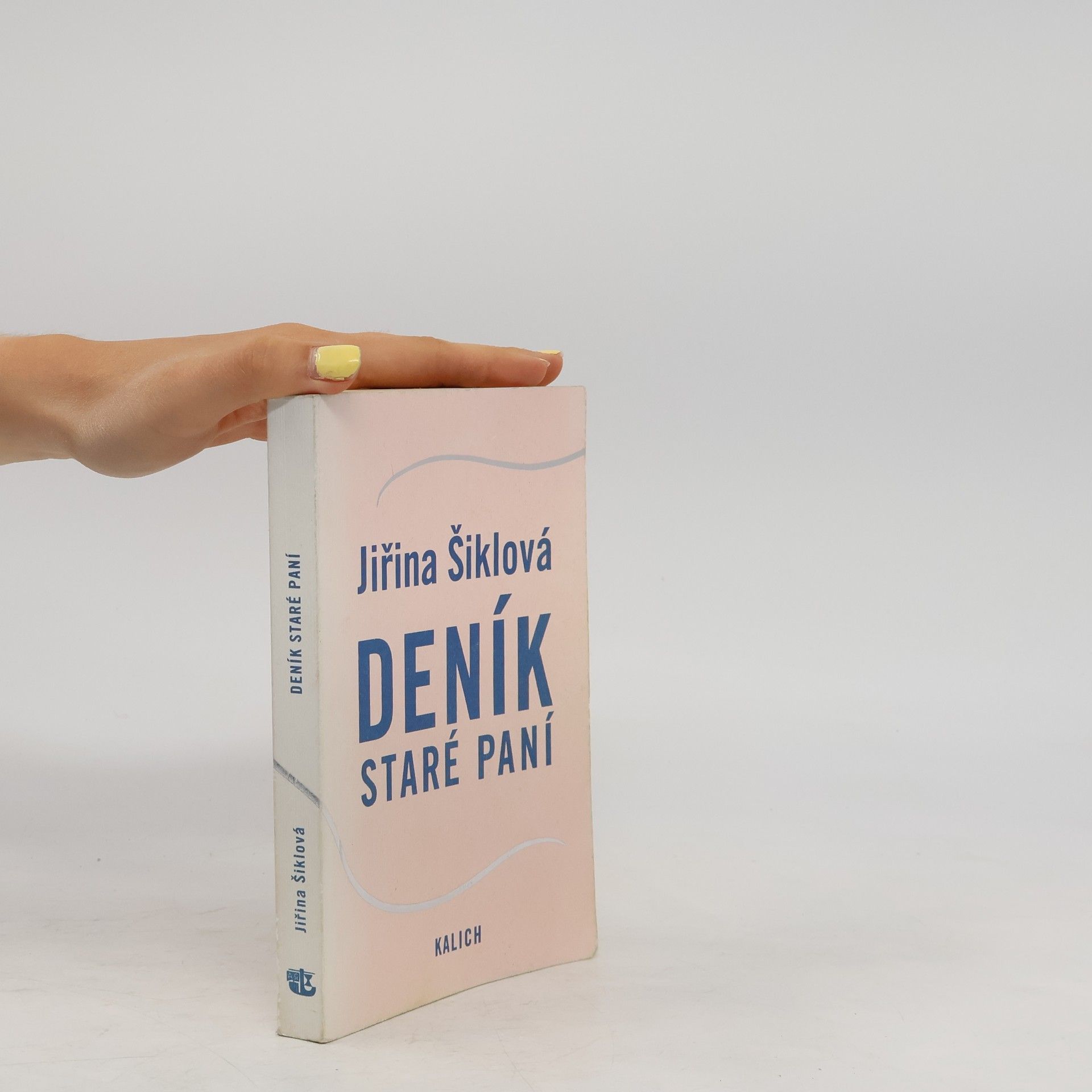 Jiřina Šiklová Deník staré paní