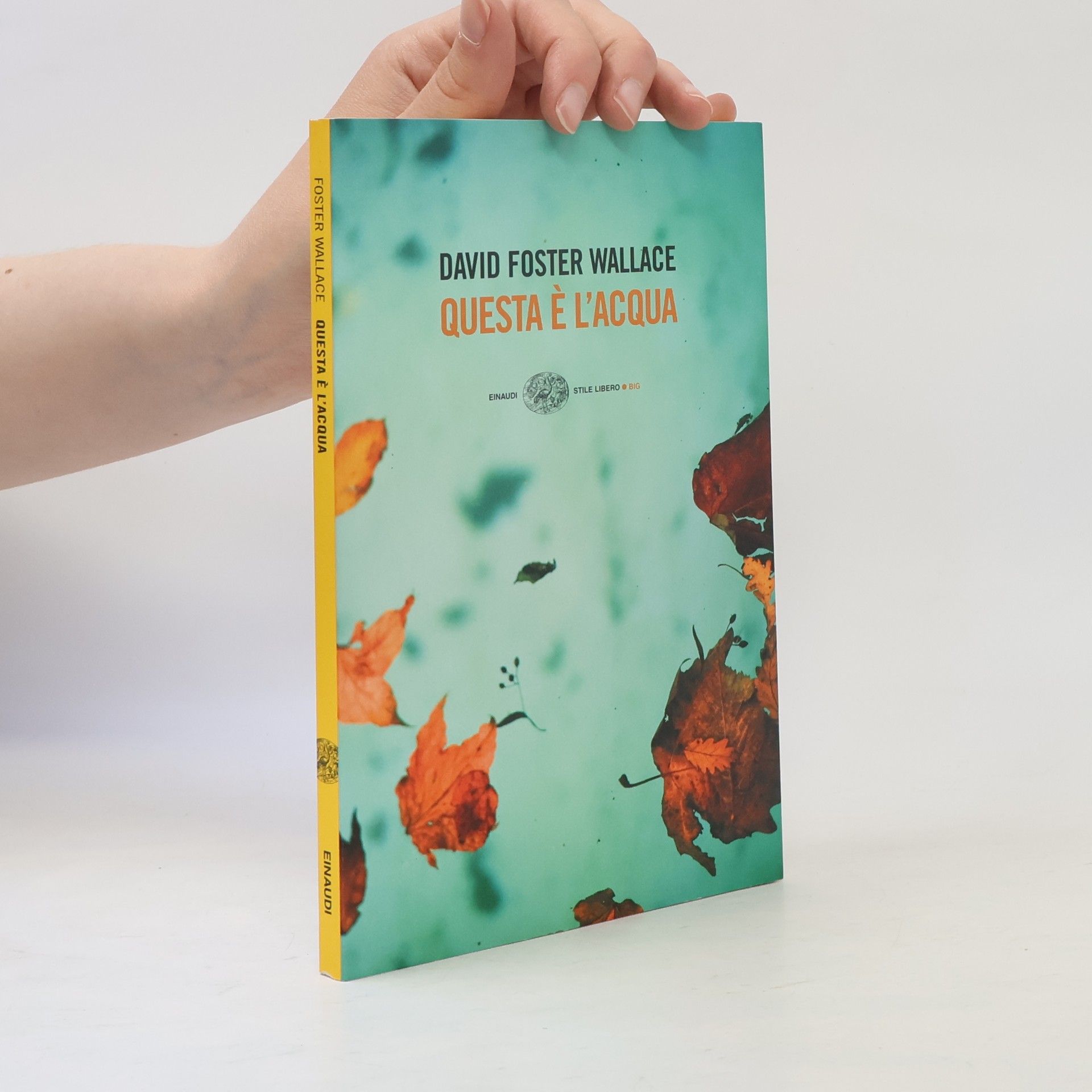 David Foster Wallace Stile Libero Big: Questa è l'acqua