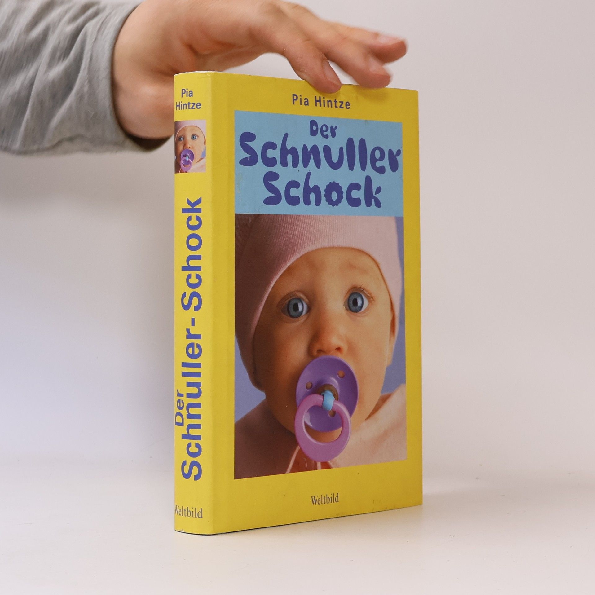 Pia Hintze Der Schnuller-Schock