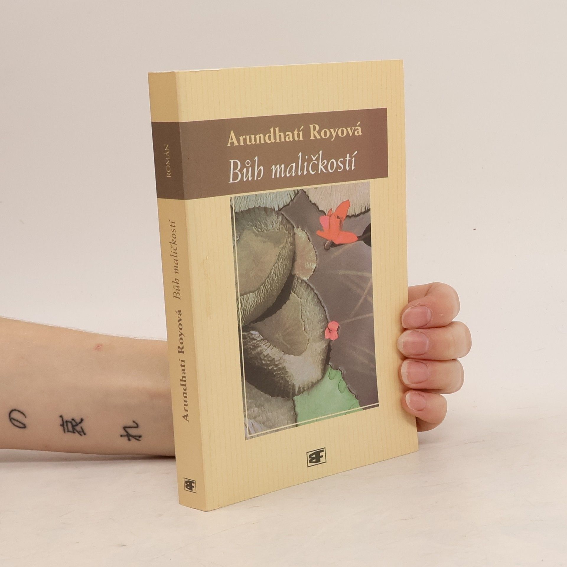 Arundhati Roy Bůh maličkostí