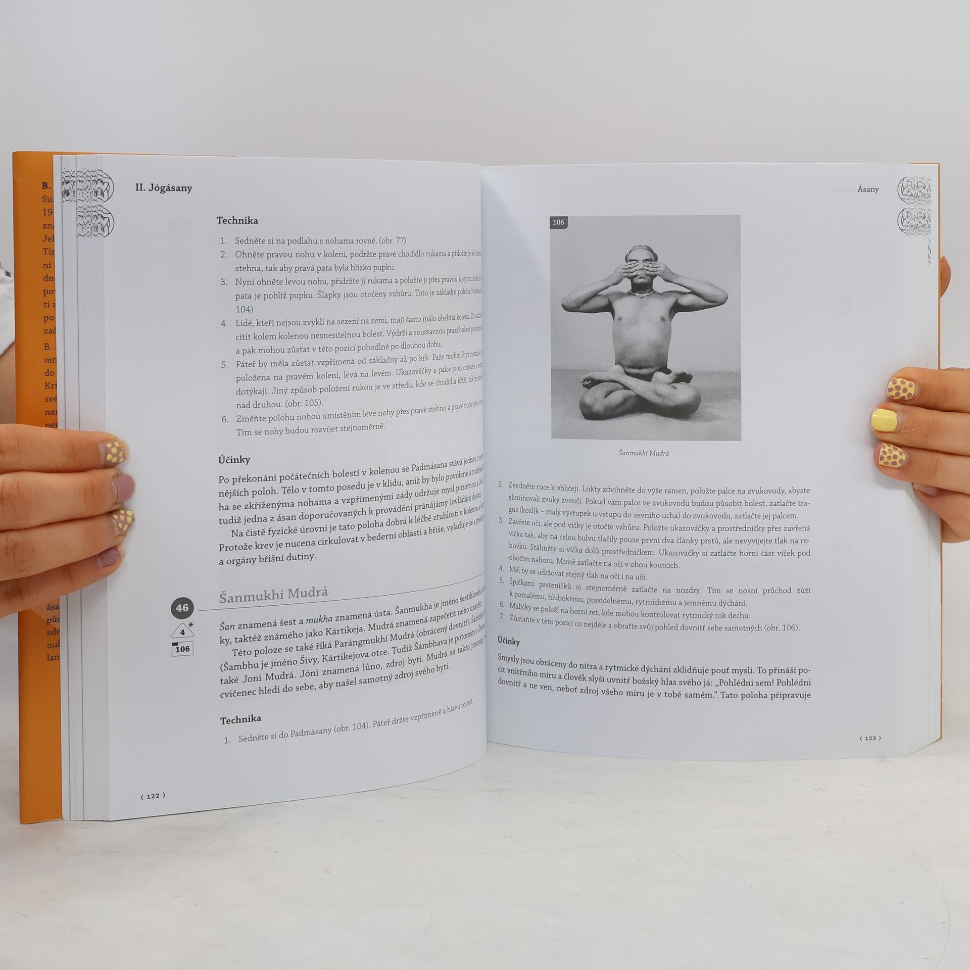 B. K. S. Iyengar Výklad jógy