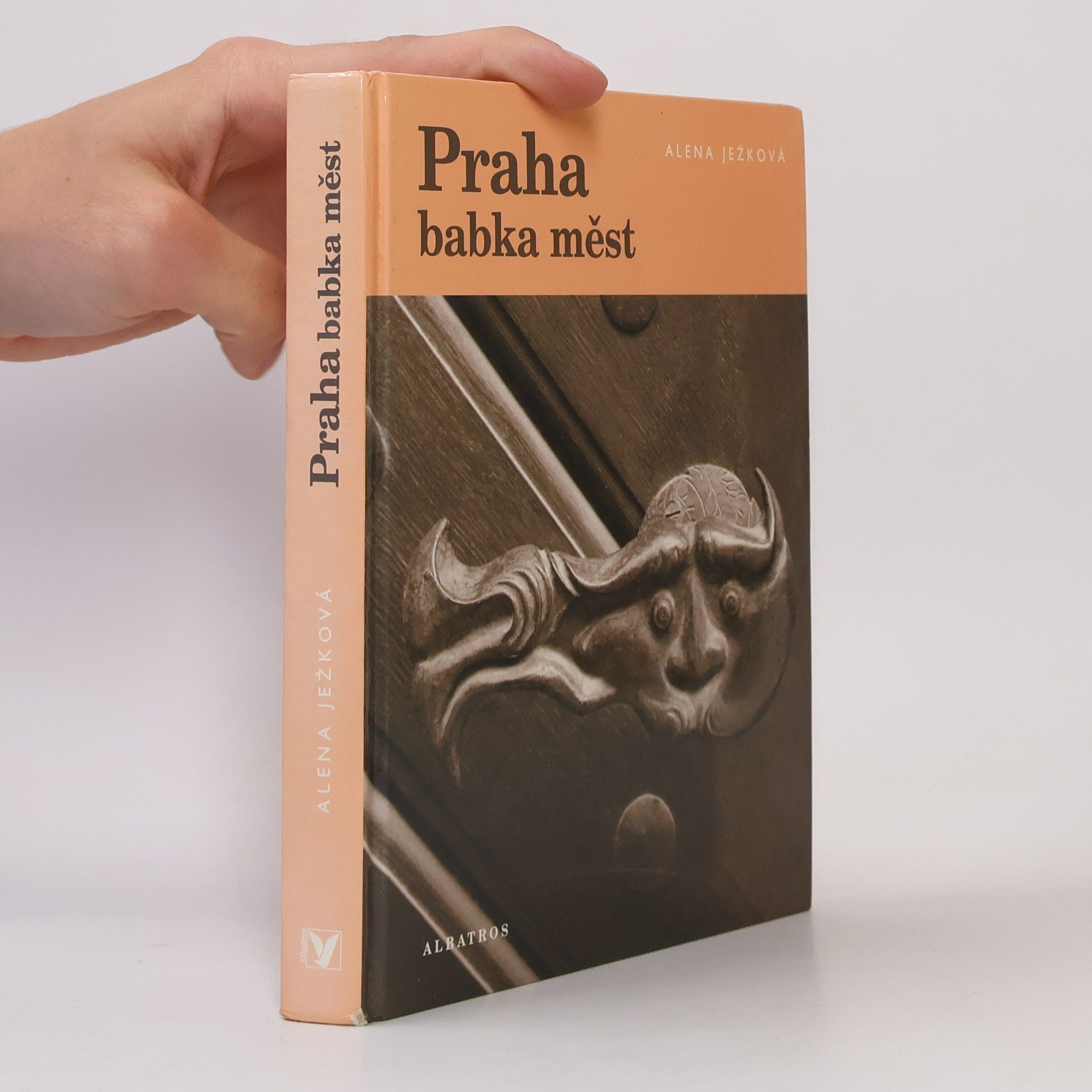 Alena Ježková Praha babka měst