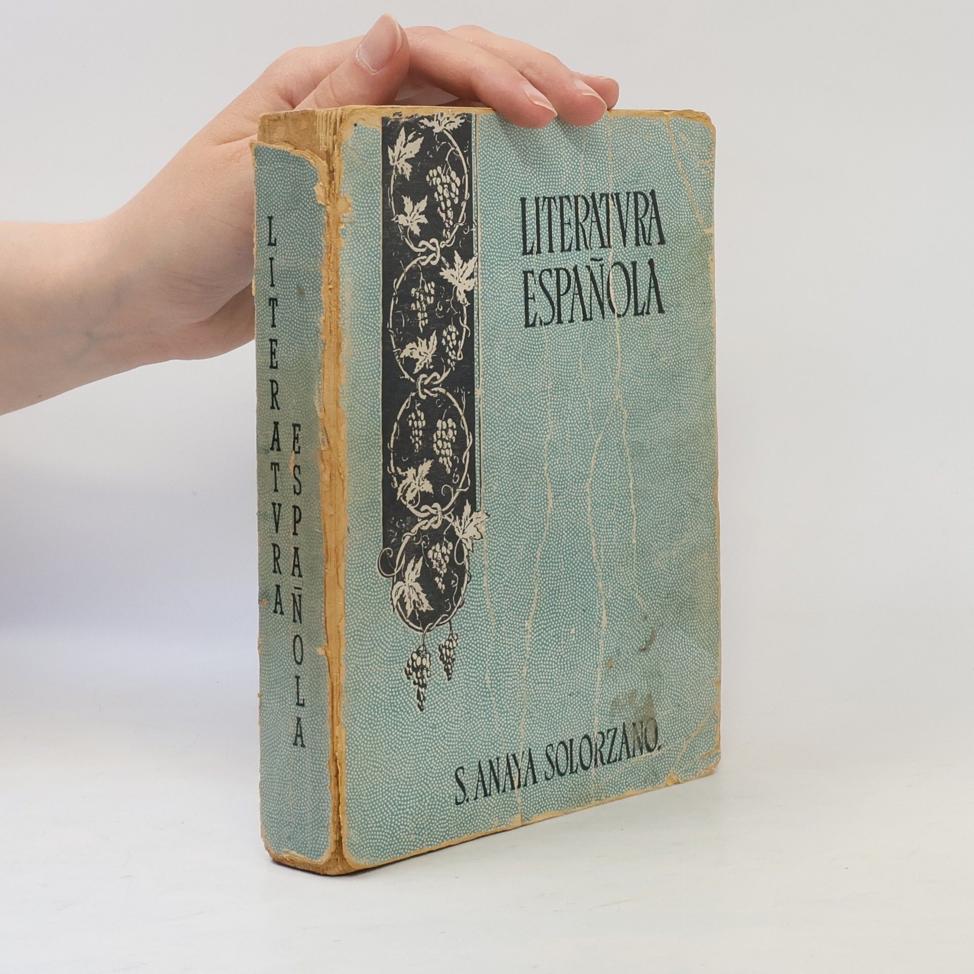 Soledad Anaya Solorzano Literatura Española. Tercer Curso de Español