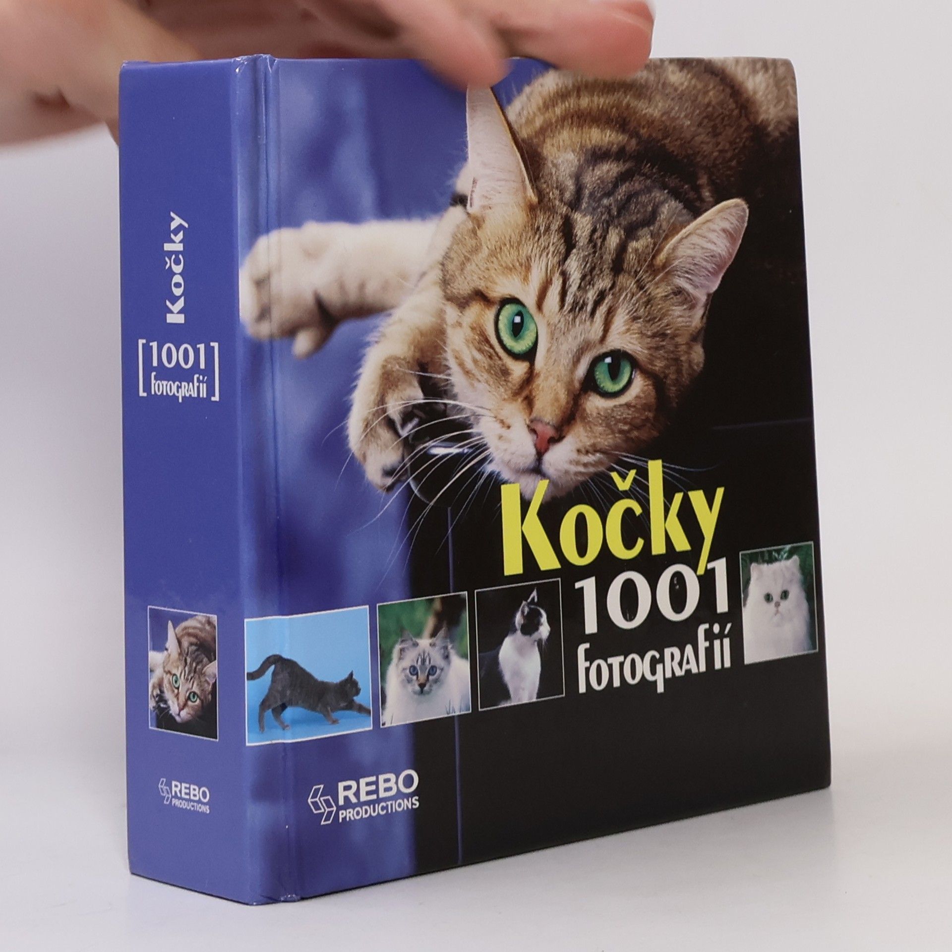 Yves Lanceau Kočky. 1001 fotografií