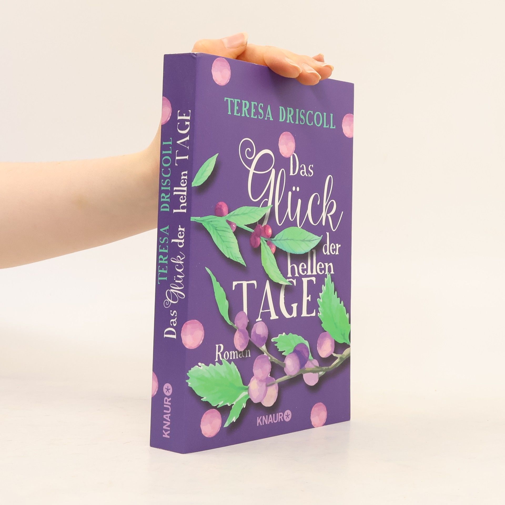 Das Glück der hellen Tage