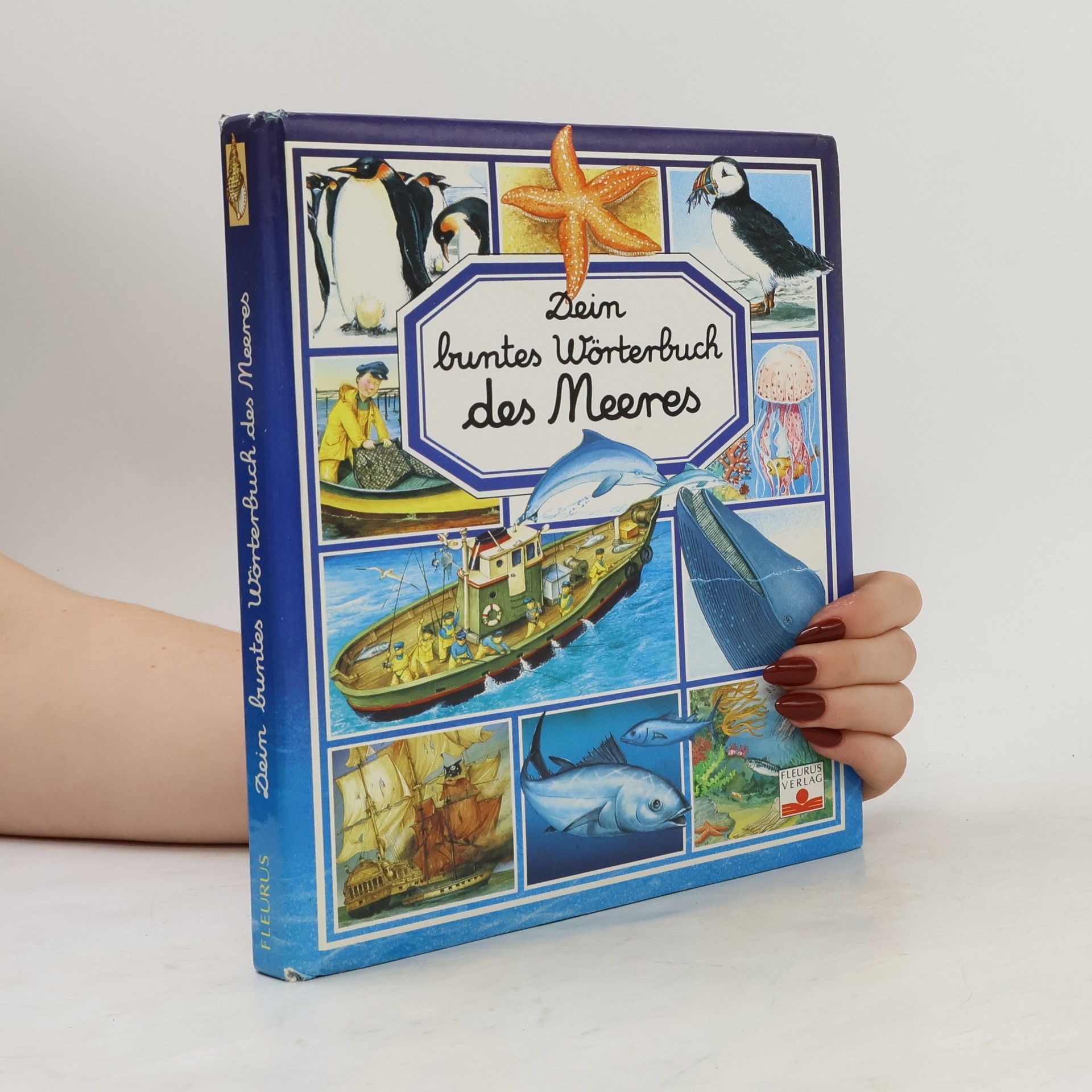 Dein buntes Wörterbuch des Meeres