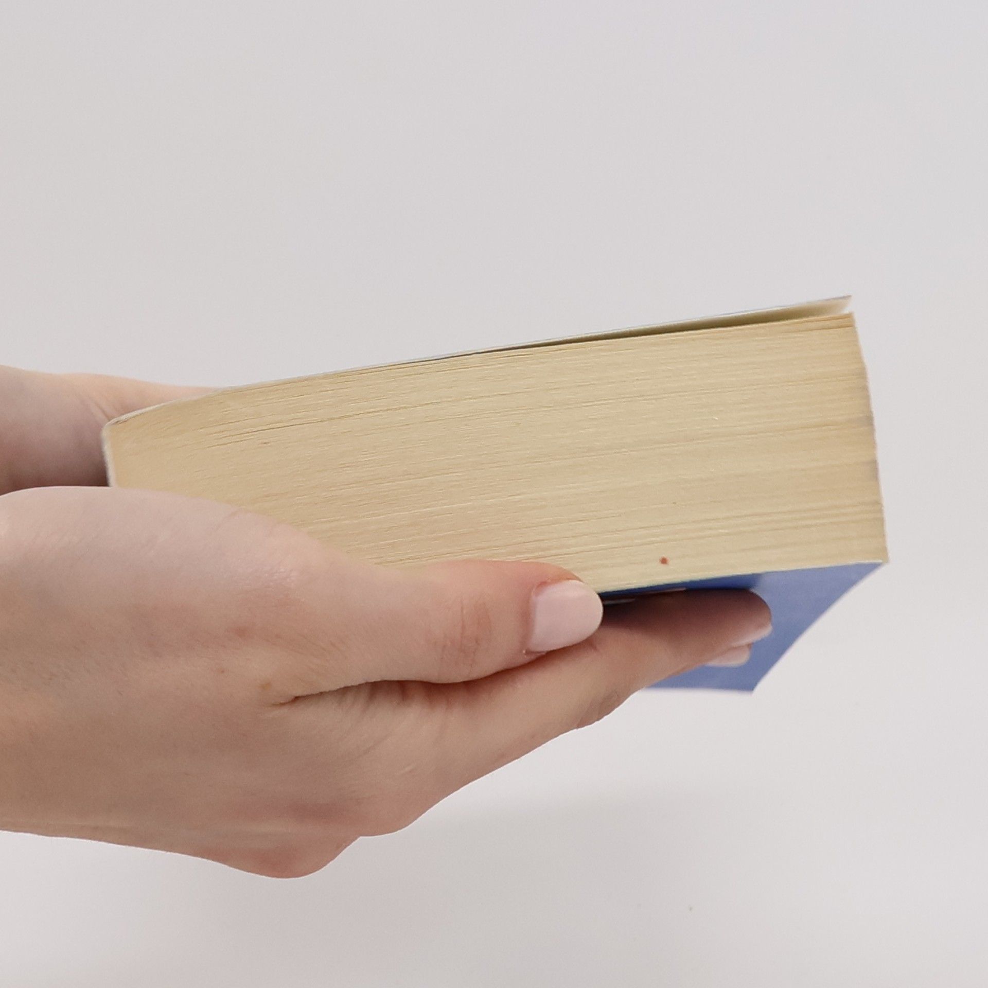 Diana Gabaldon Das Meer der Lügen