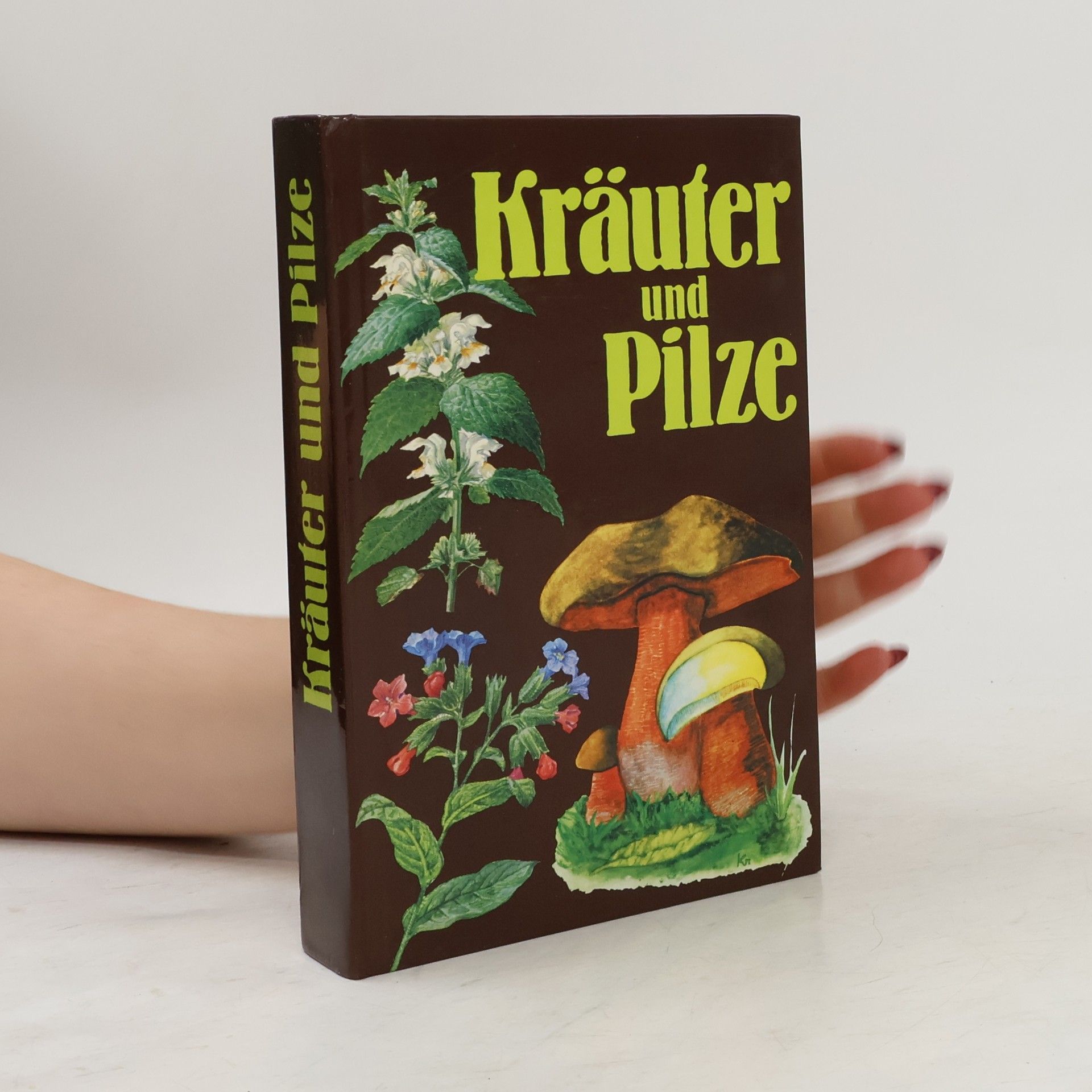 Various authors Kräuter und Pilze