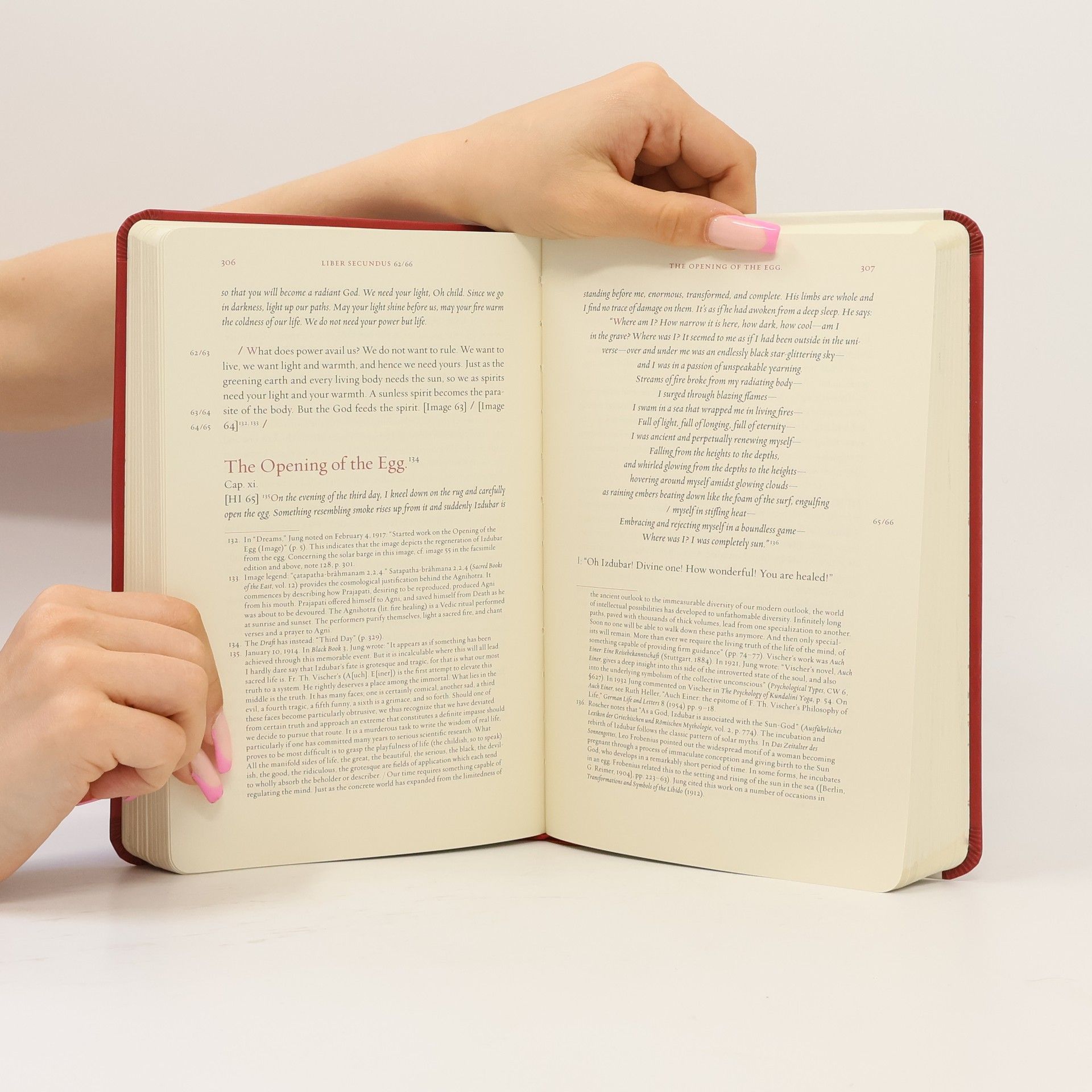 Carl Gustav Jung The red book