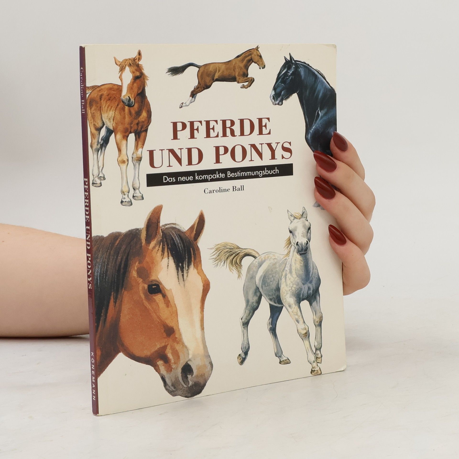 Caroline Ball Pferde und Ponys