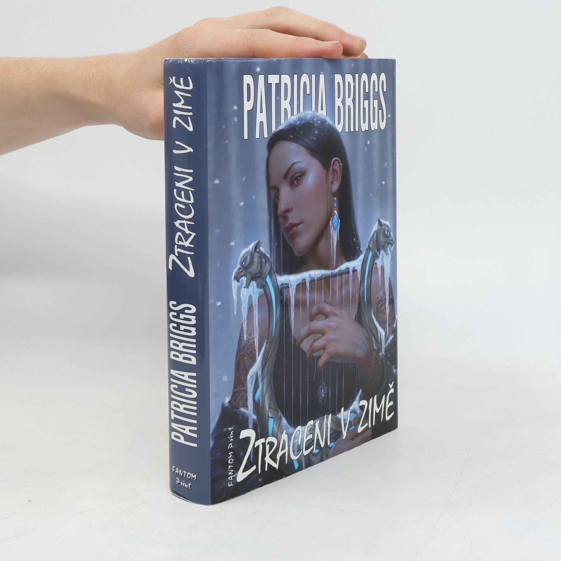 Patricia Briggs Ztraceni v zimě