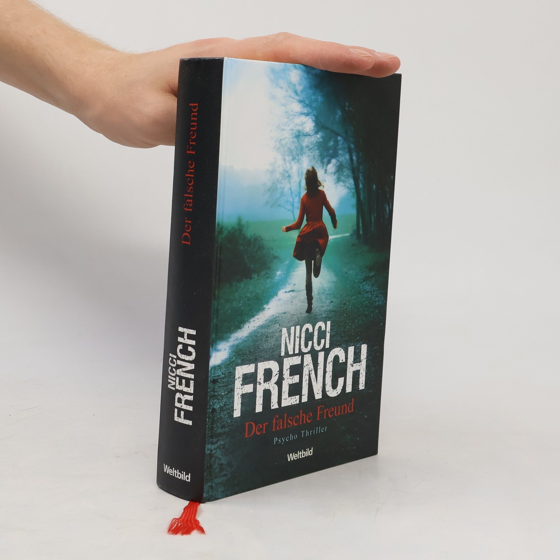 Nicci French Der falsche Freund