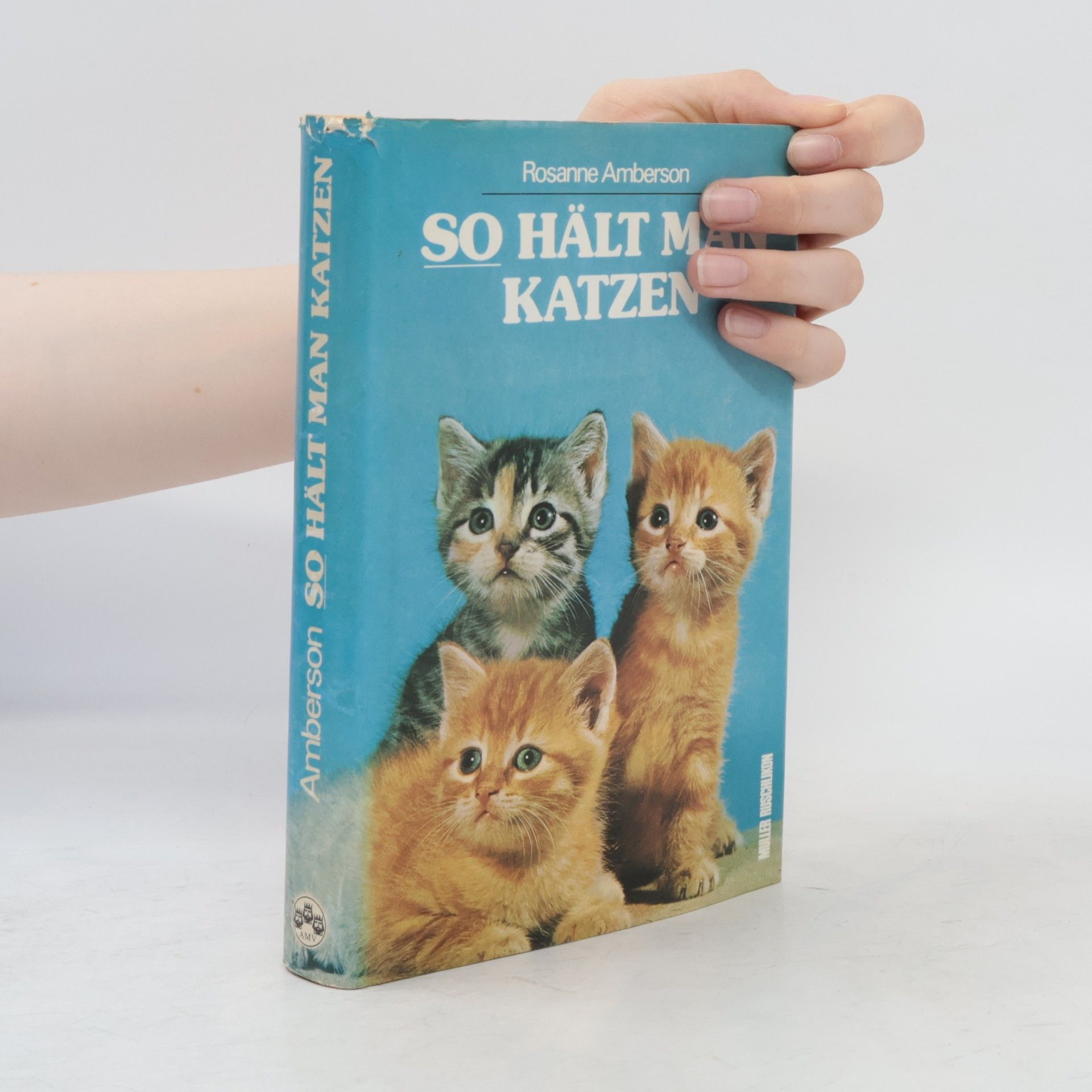 Rosanne Amberson So hält man Katzen