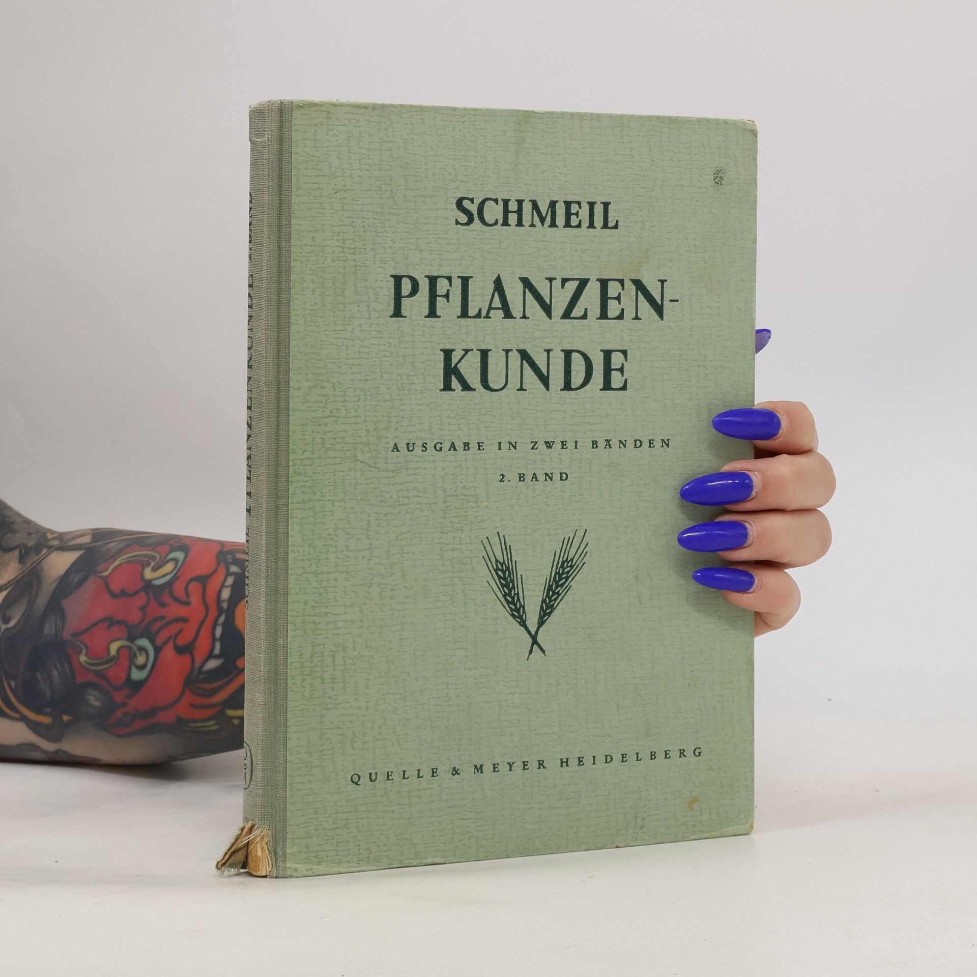 Otto Schmeil Pflanzenkunde 2