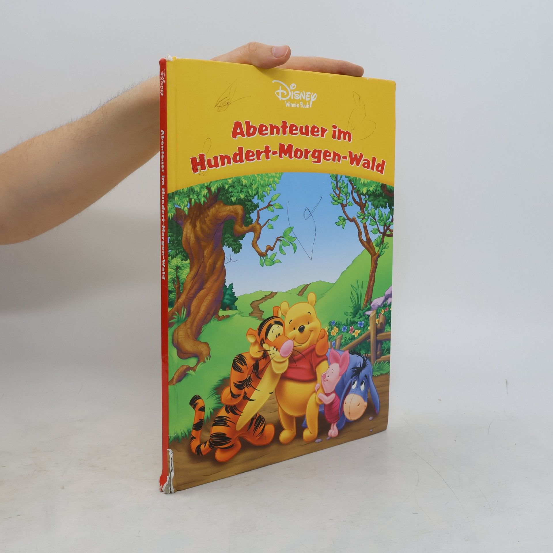 Autorenkollektiv Winnie Puuh. Abenteuer im Hundert-Morgen-Wald