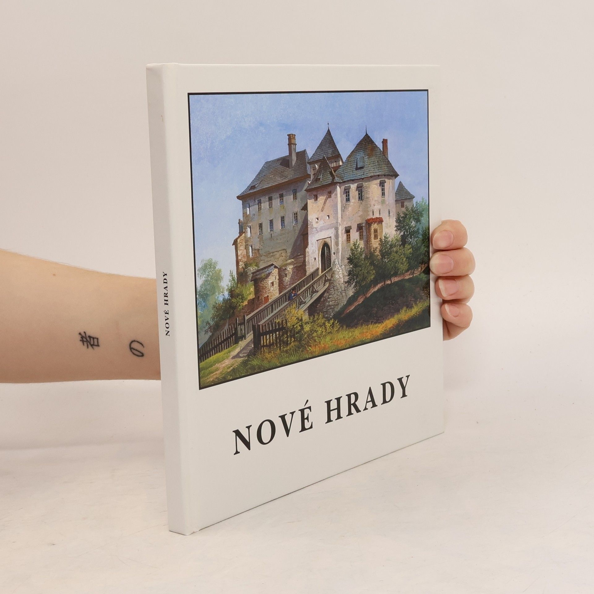 Petr Odložil Nové Hrady