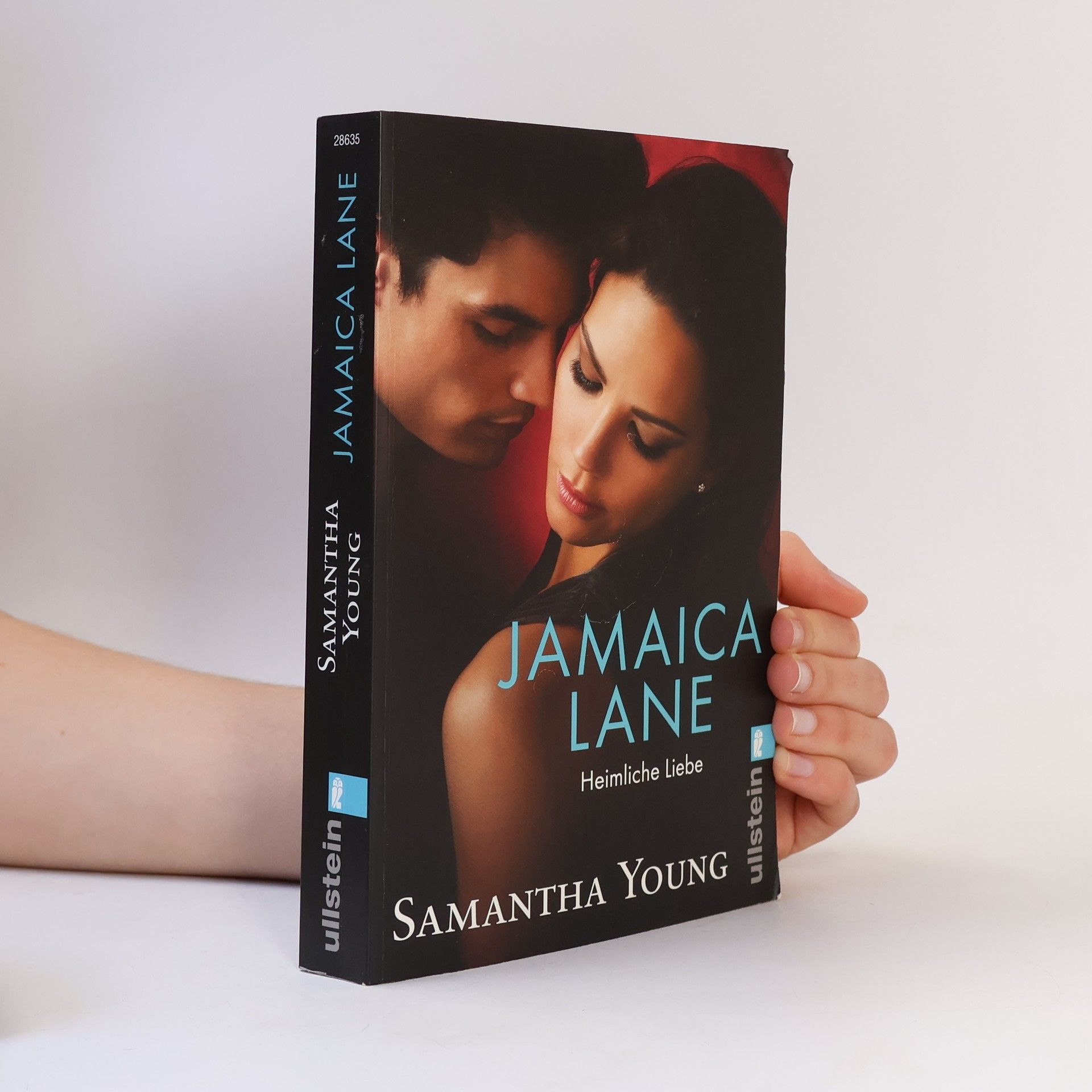 Samantha Young Jamaica Lane: Heimliche Liebe