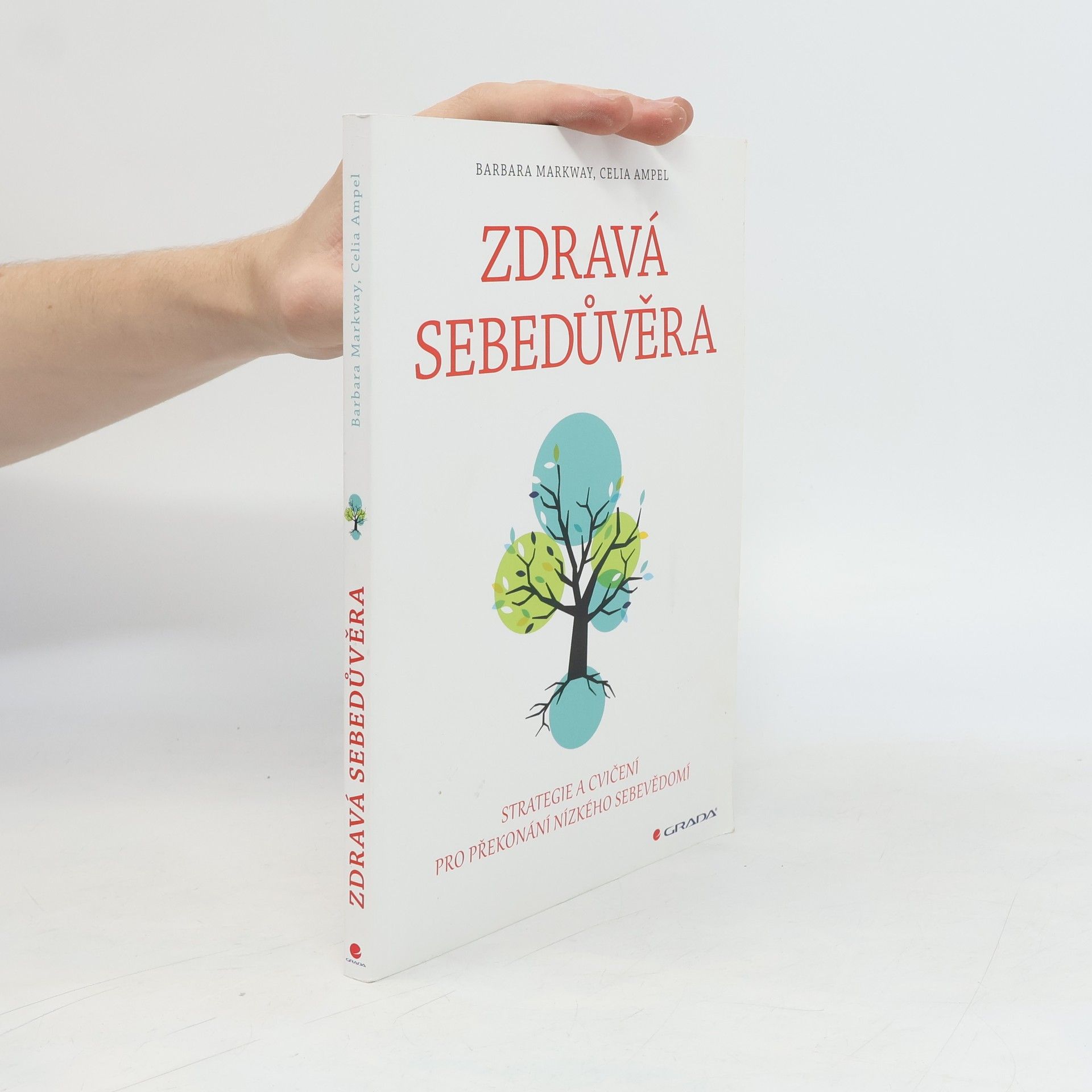 Zdravá sebedůvěra : strategie a cvičení pro překonání nízkého sebevědomí