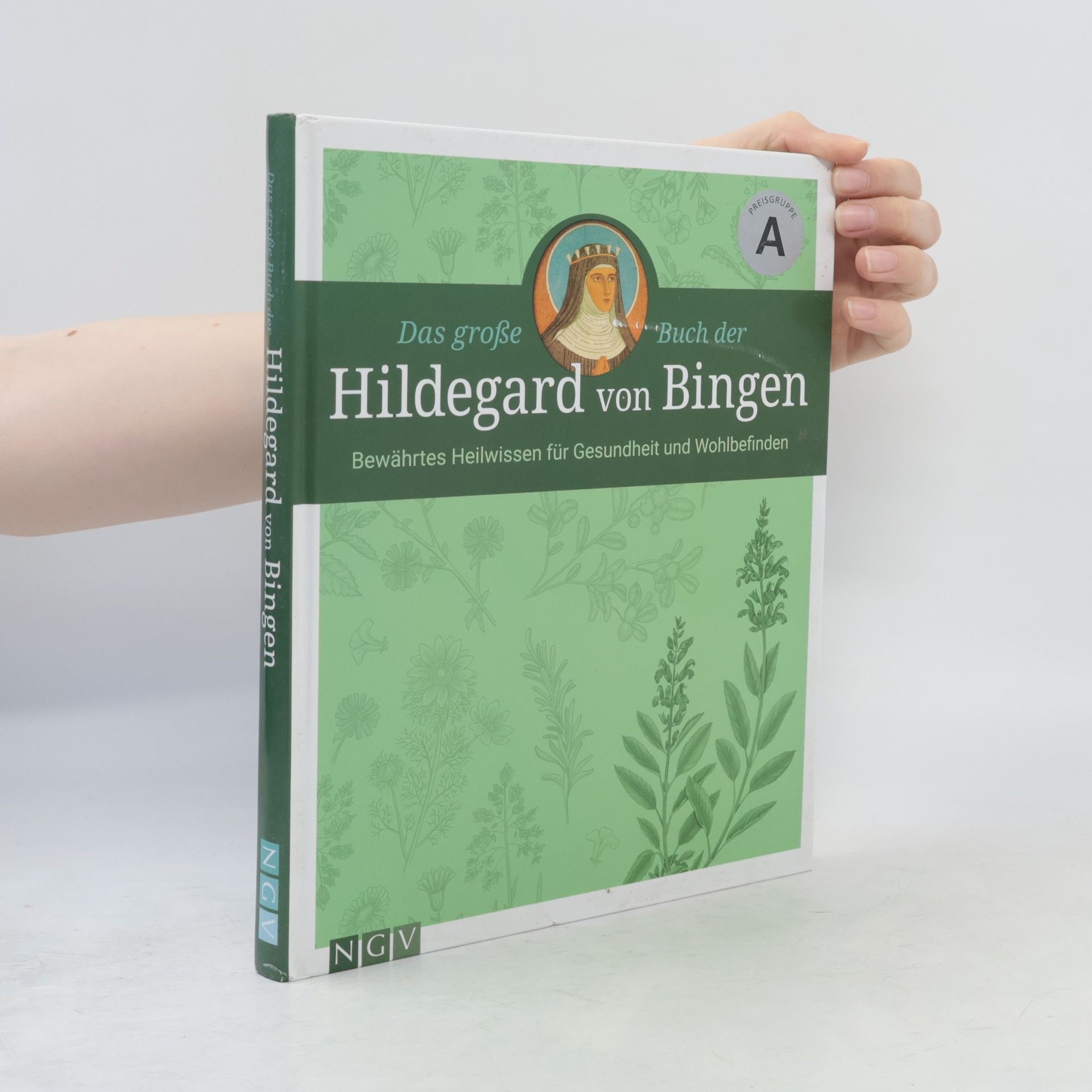 Autorenkollektiv Das große Buch der Hildegard von Bingen