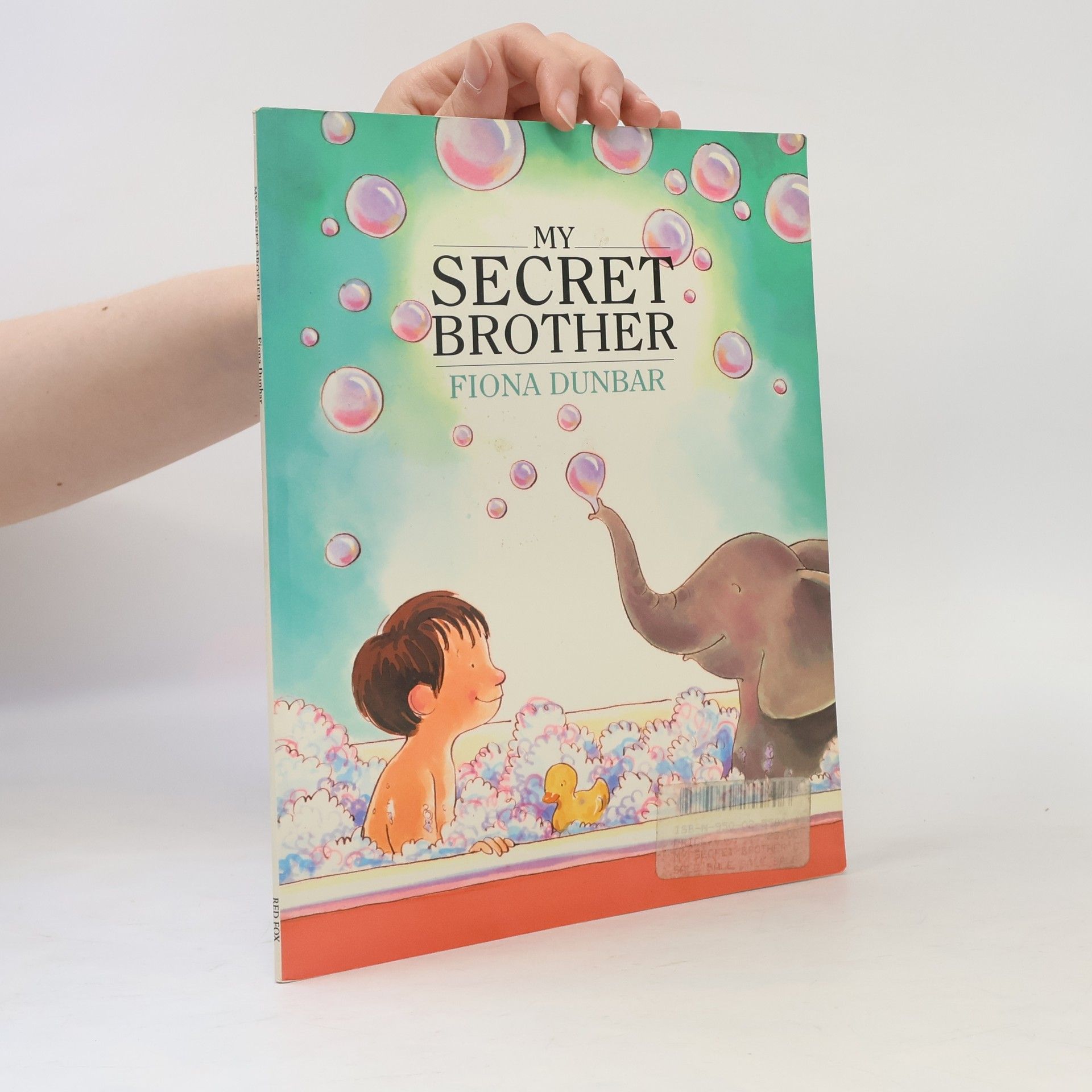 Fiona Dunbar My Secret Brother