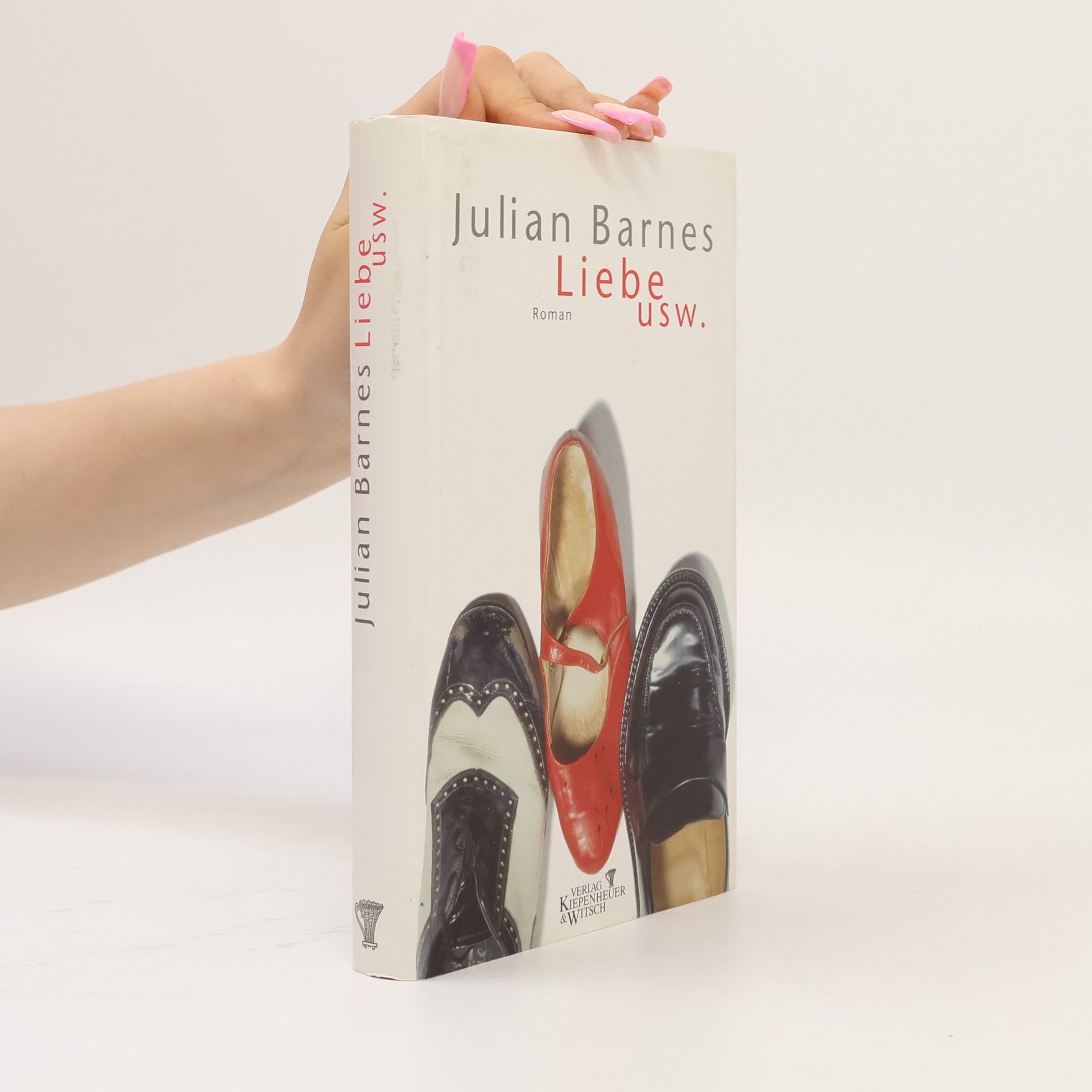 Julian Barnes Liebe usw.