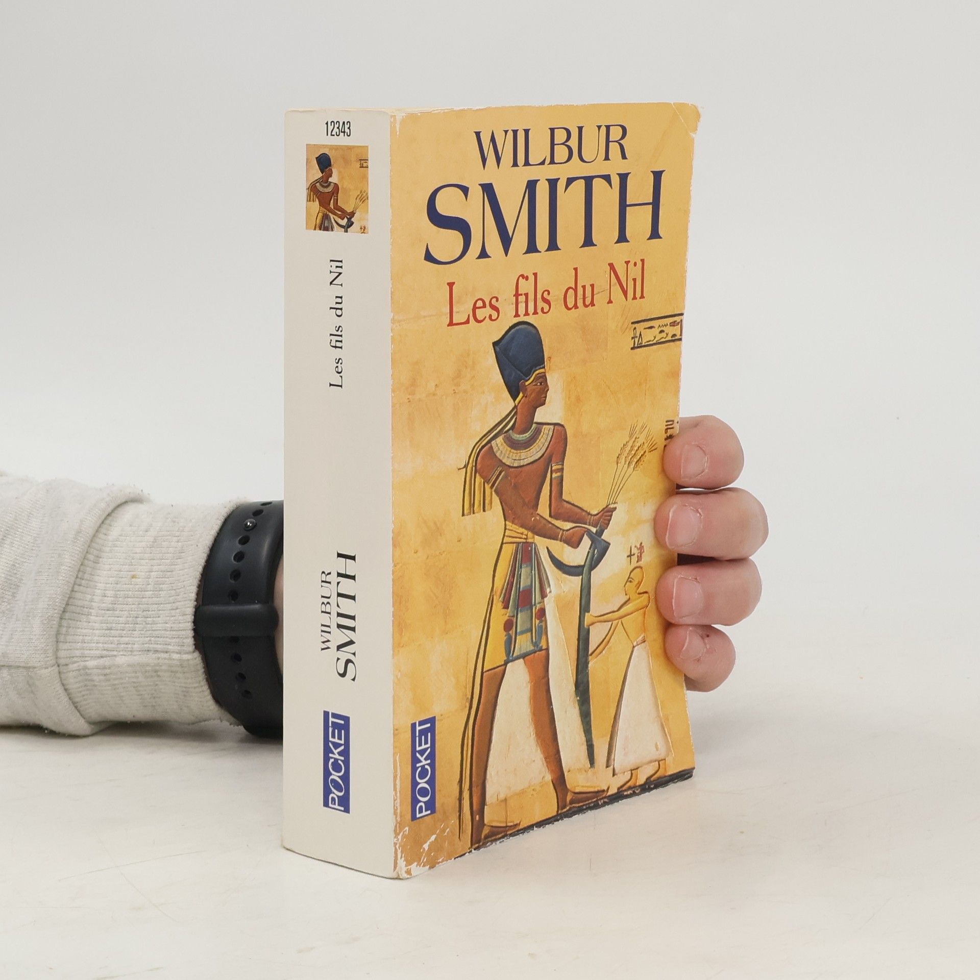 Wilbur Smith Les fils du Nil