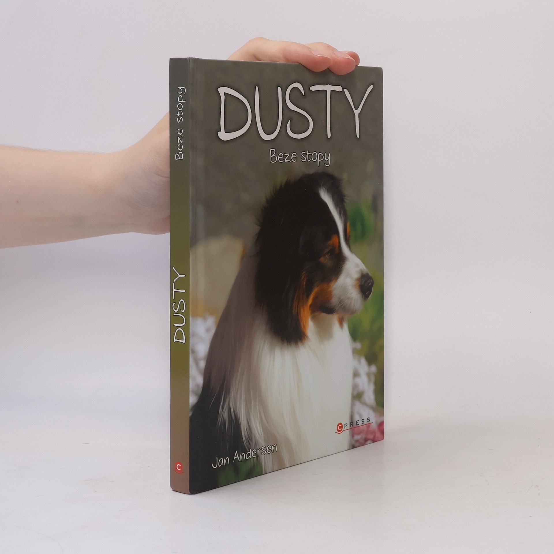 Wolfram Hänel Dusty. Beze stopy