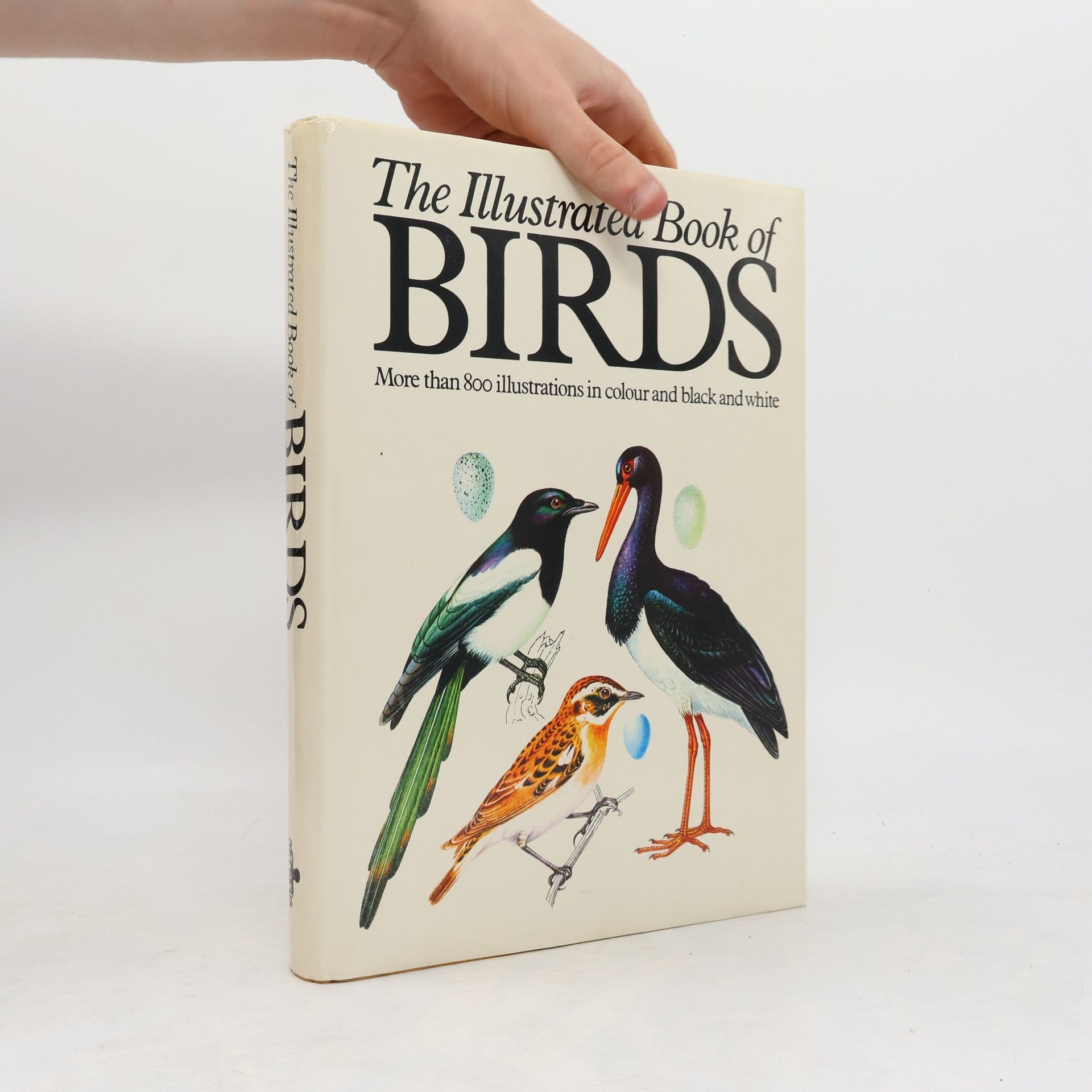 The Illustrated Book of Birds