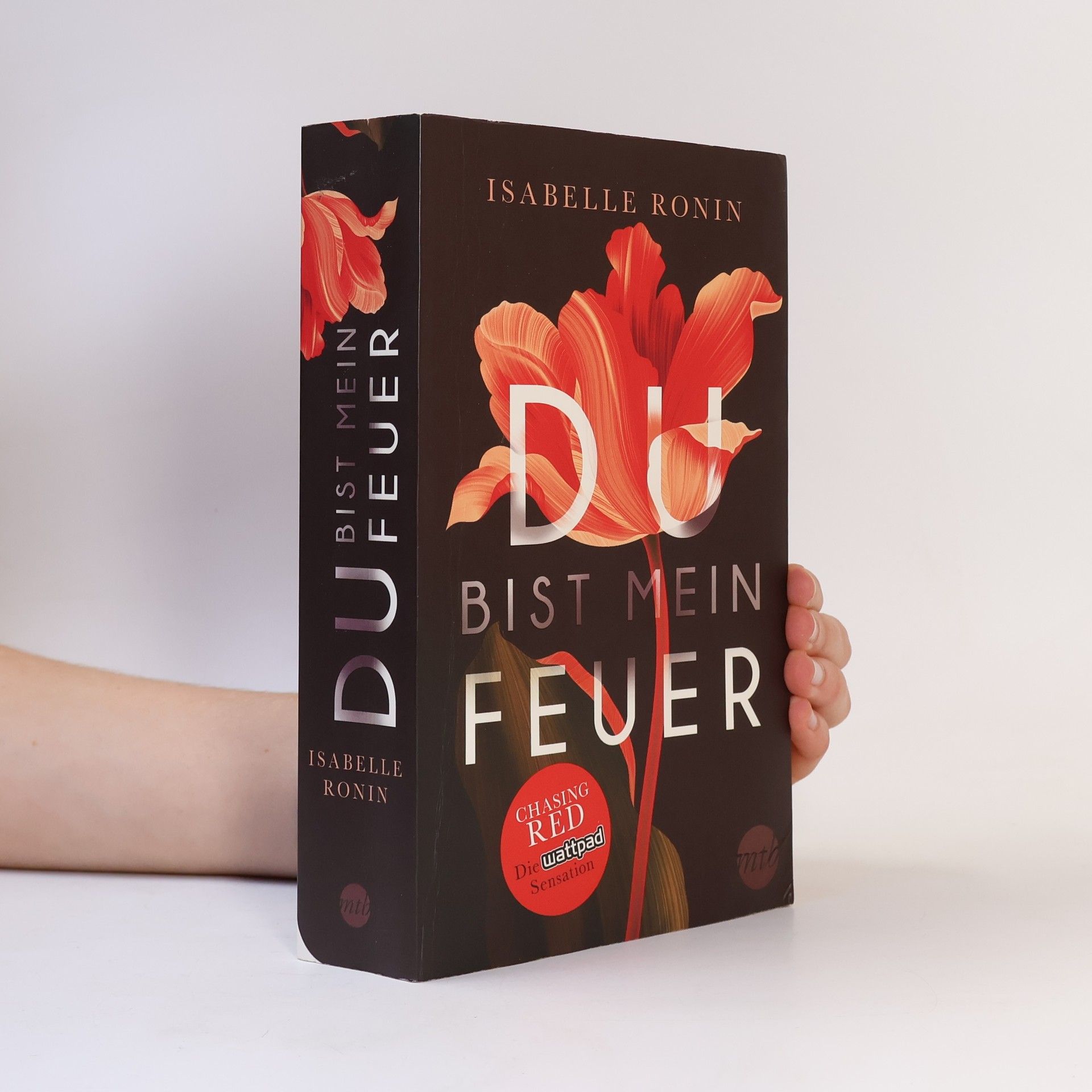 Isabelle Ronin Du bist mein Feuer