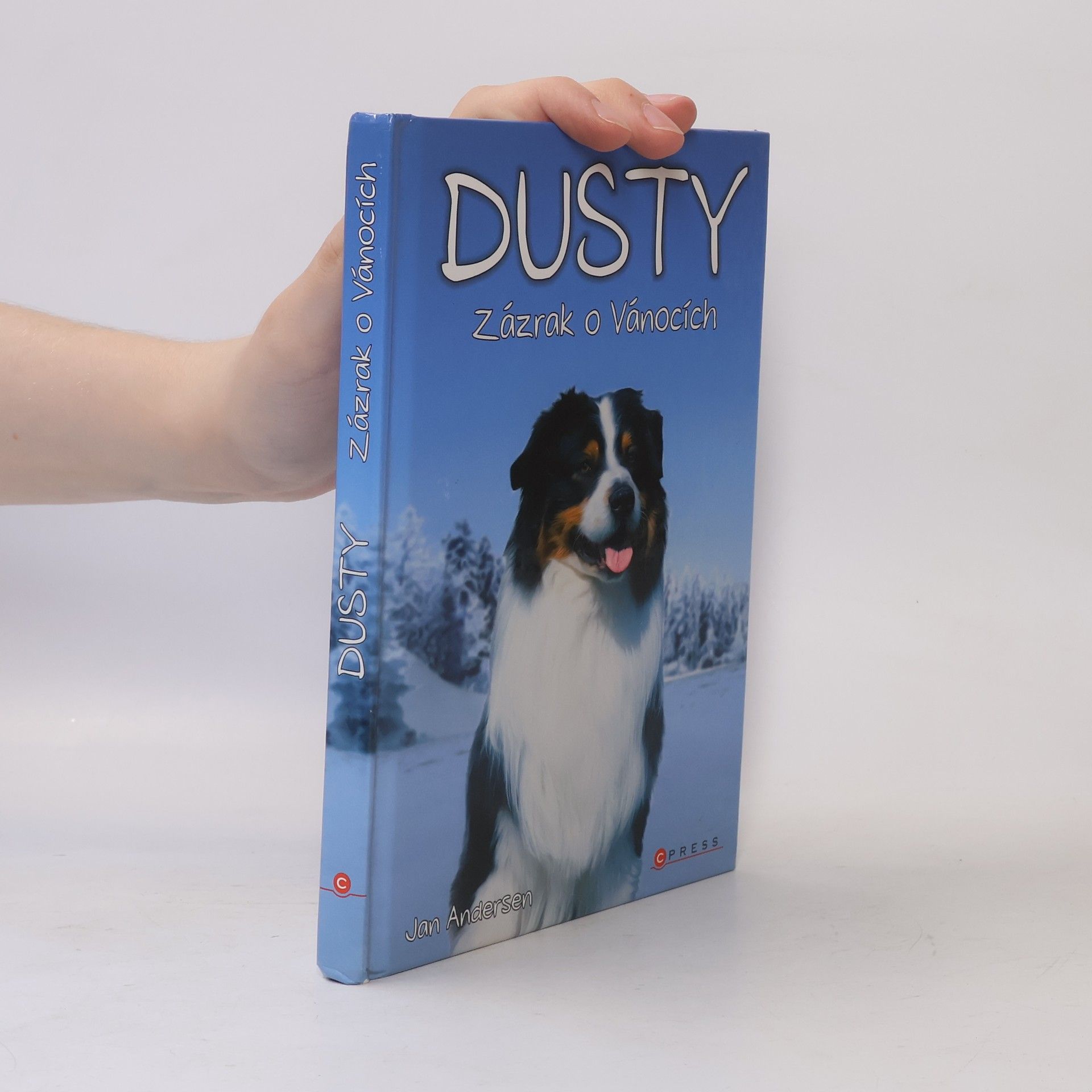 Wolfram Hänel Dusty: Zázrak o Vánocích