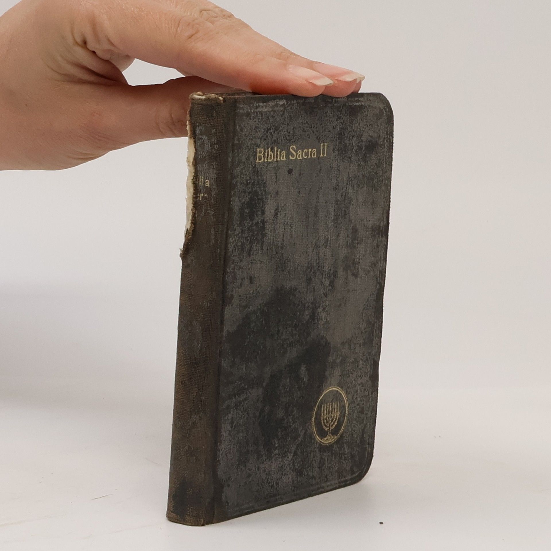 Michael Hetzenauer Biblia Sacra II.