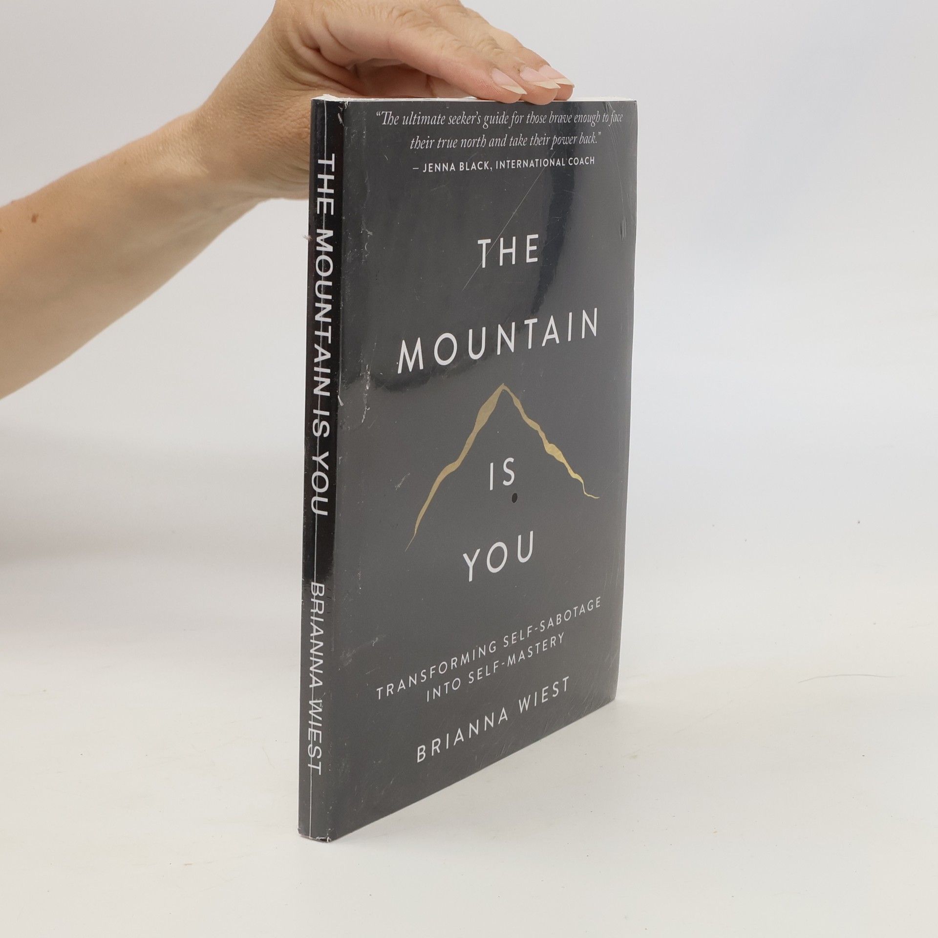 Brianna Wiest The Mountain Is You