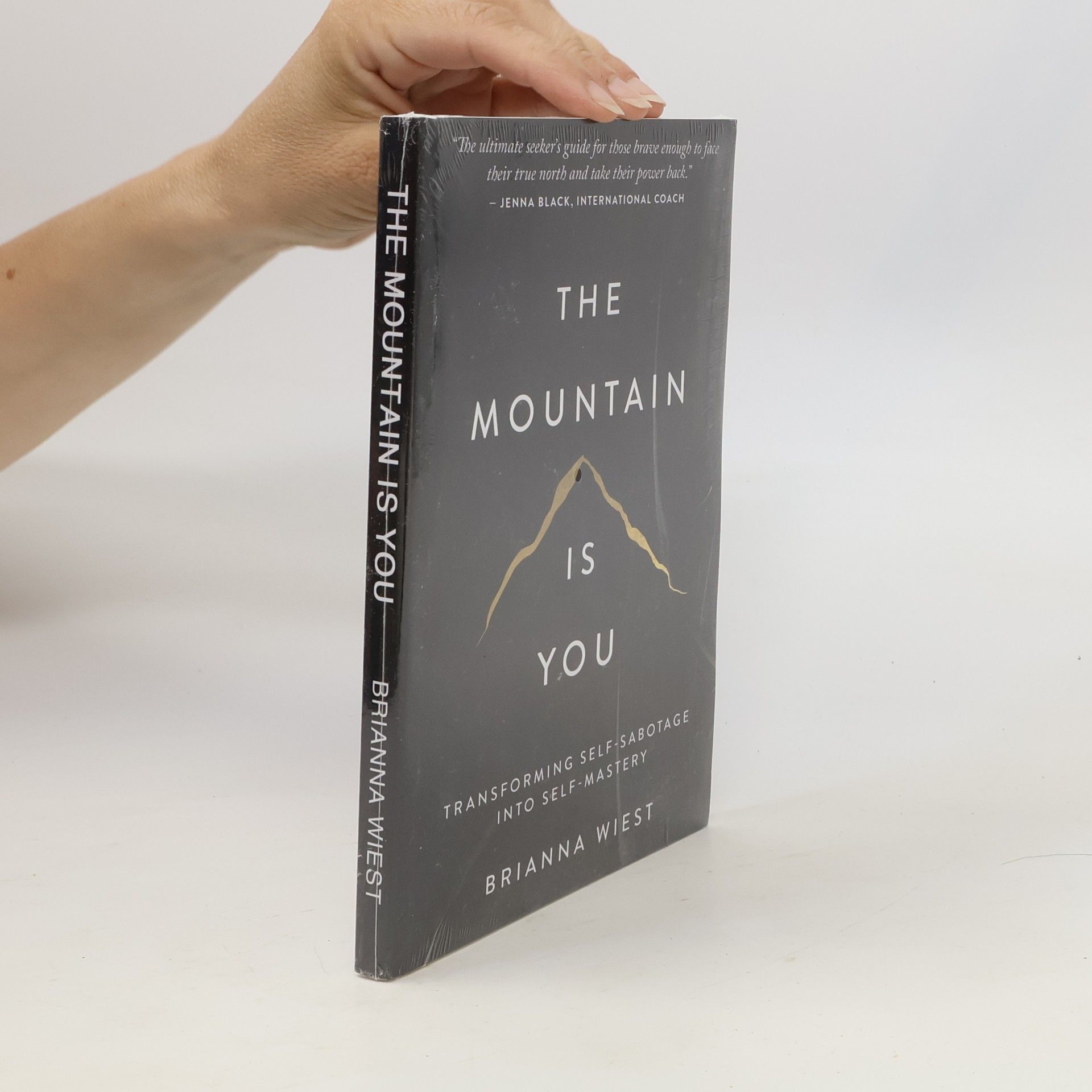 Brianna Wiest The Mountain Is You