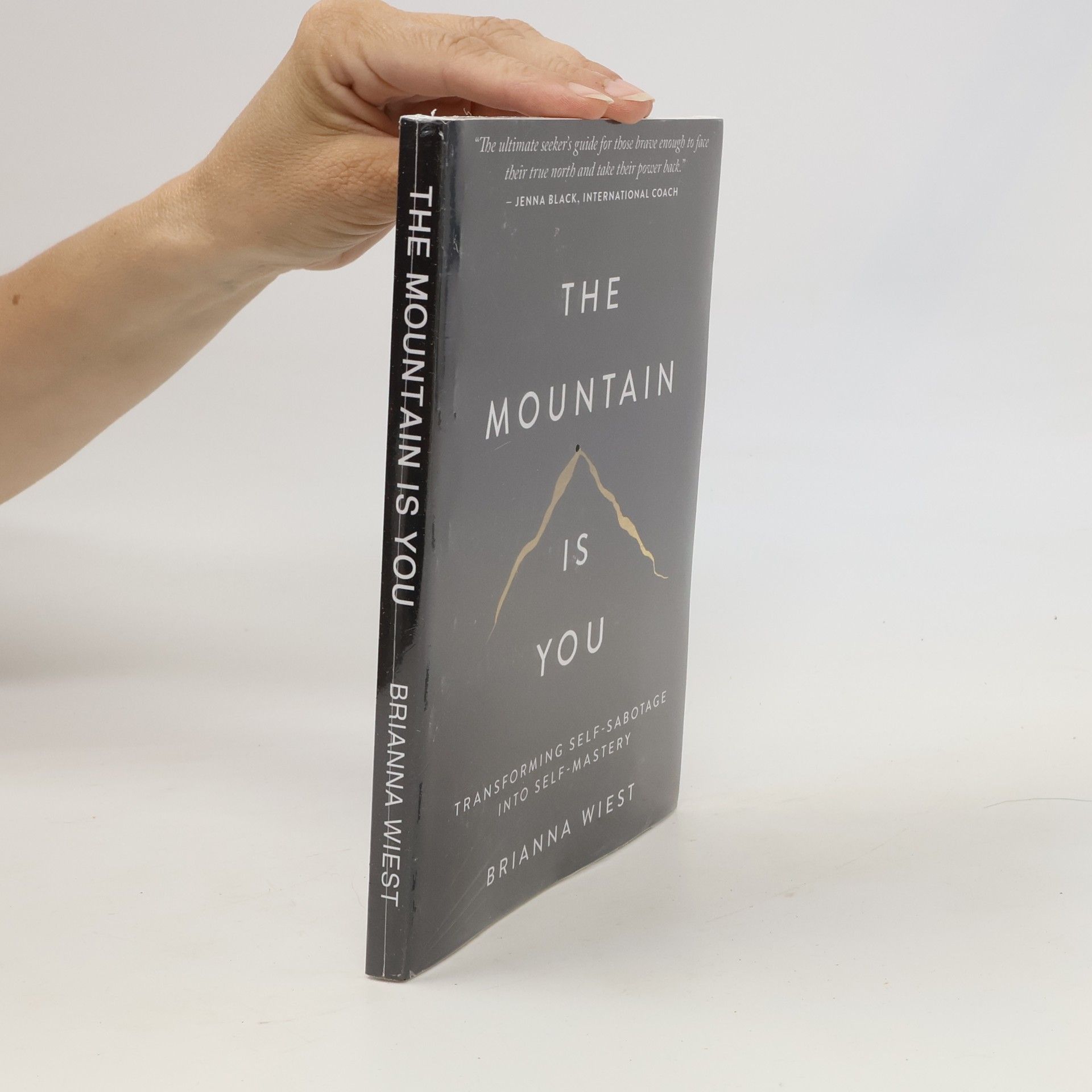 Brianna Wiest The Mountain Is You