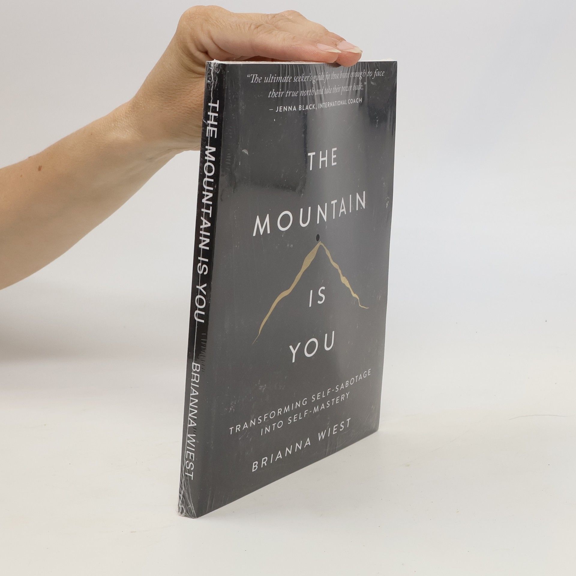 Brianna Wiest The Mountain Is You