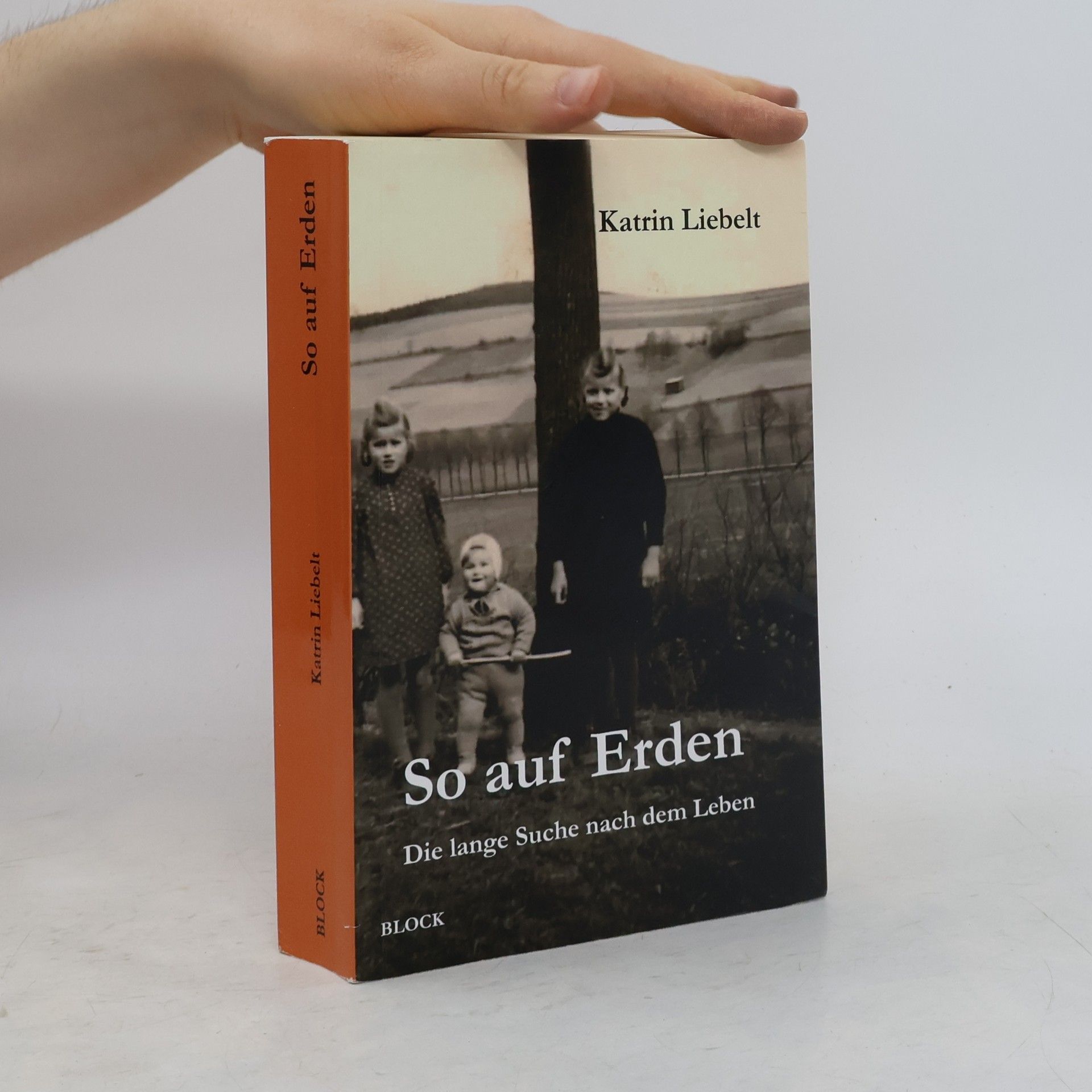 Katrin Liebelt So auf Erden